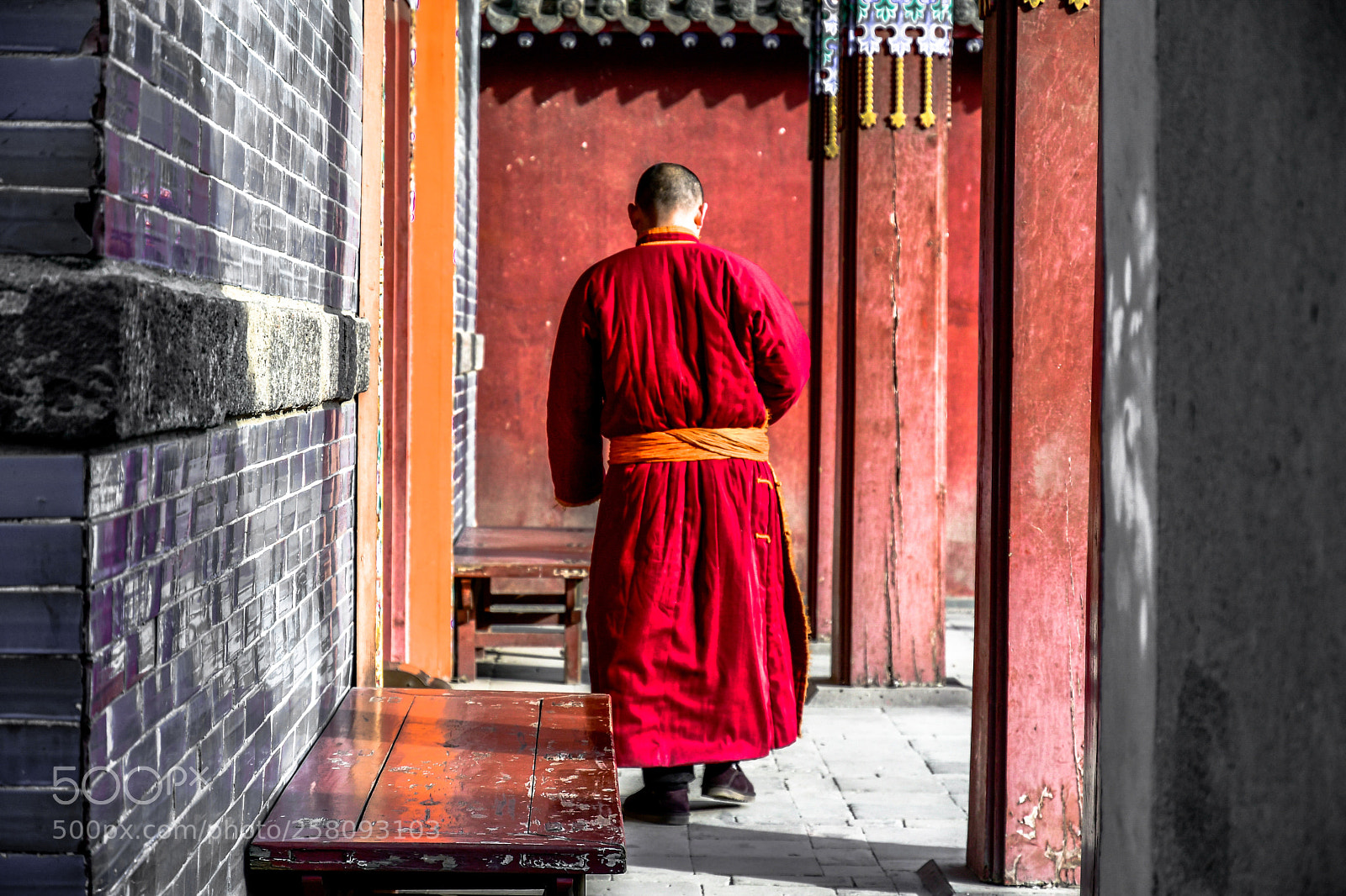 Nikon D500 sample photo. Peaceful life  photography