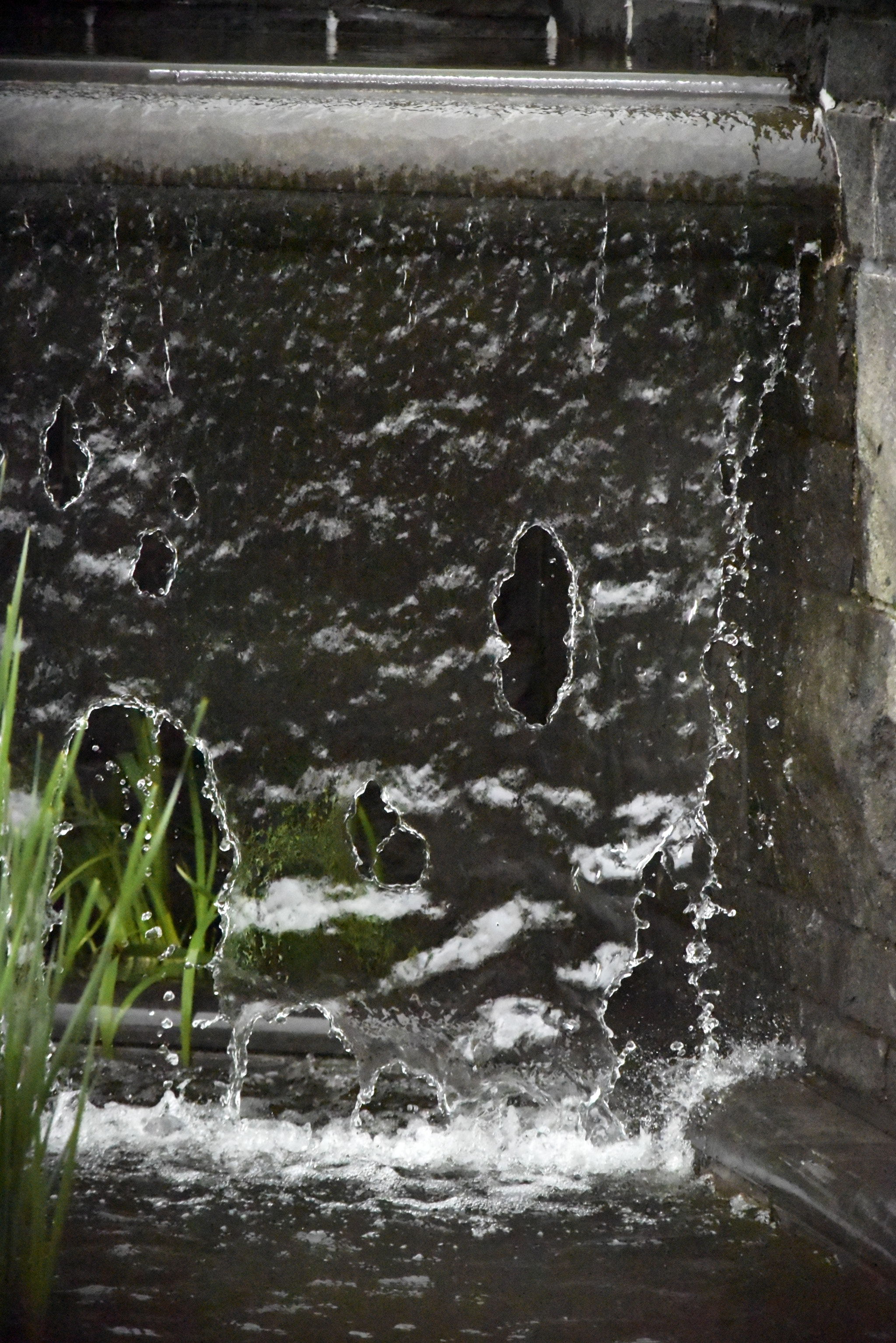 Nikon D750 sample photo. Fluid photography