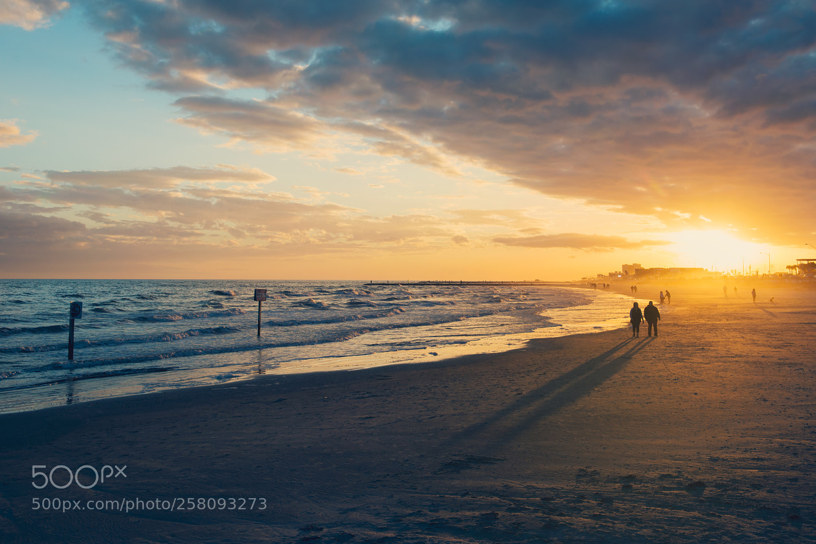 Nikon D800 sample photo. Galveston sewall photography