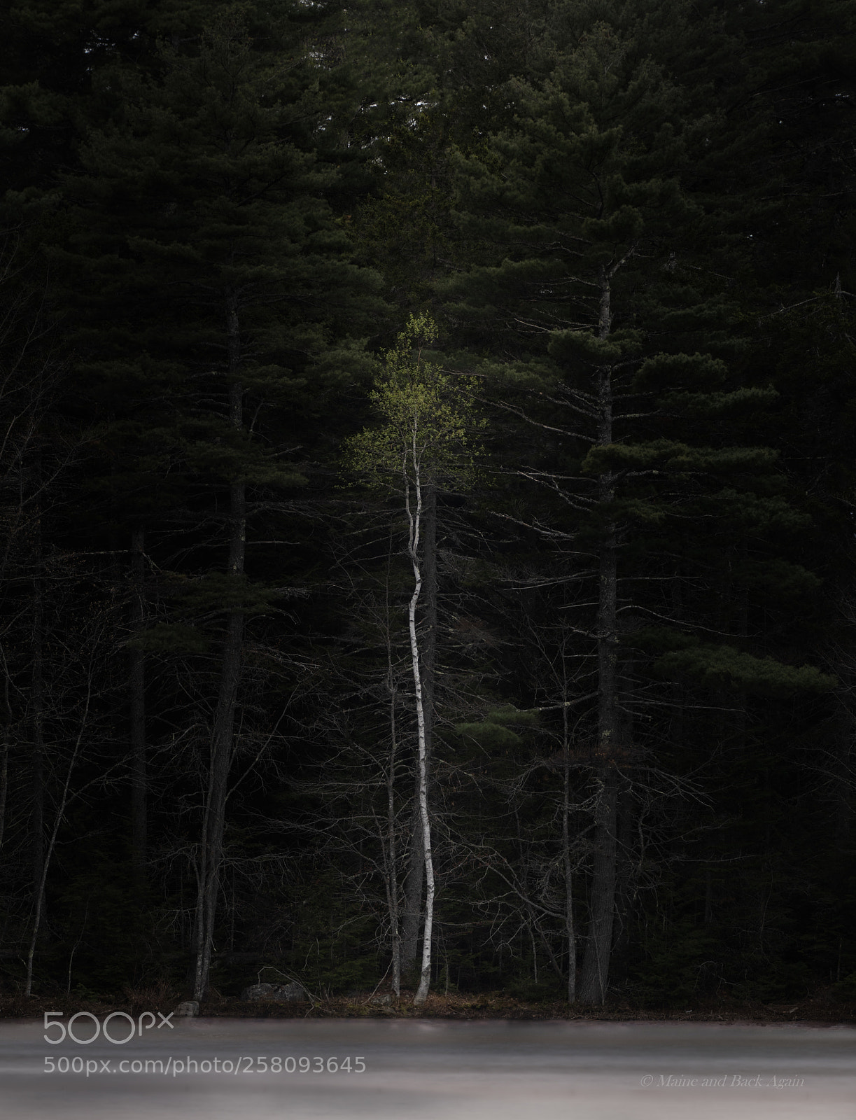 Canon EOS 7D Mark II sample photo. Darkness and the light photography