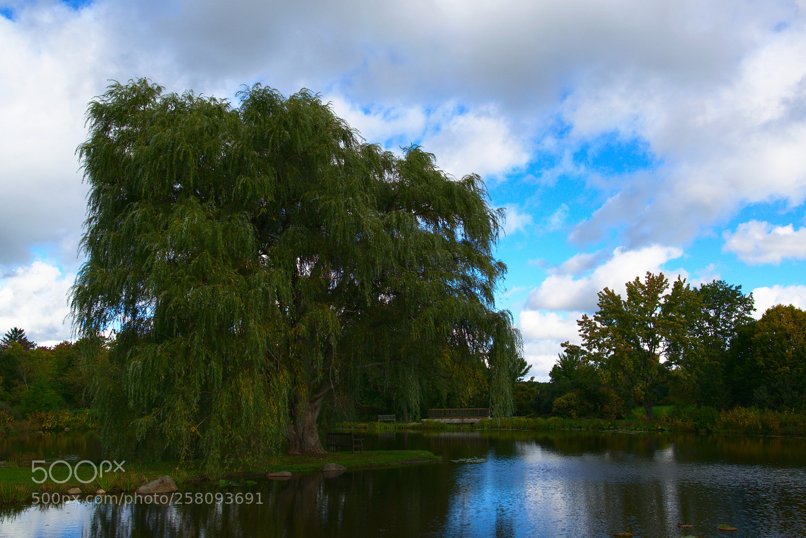 Nikon D5300 sample photo. A bench near a photography