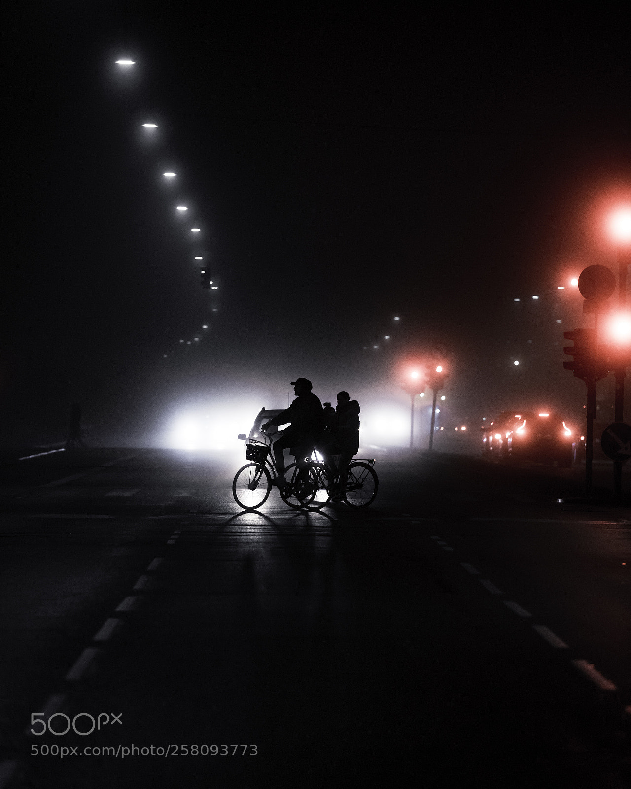 Nikon D810 sample photo. Foggy nights photography