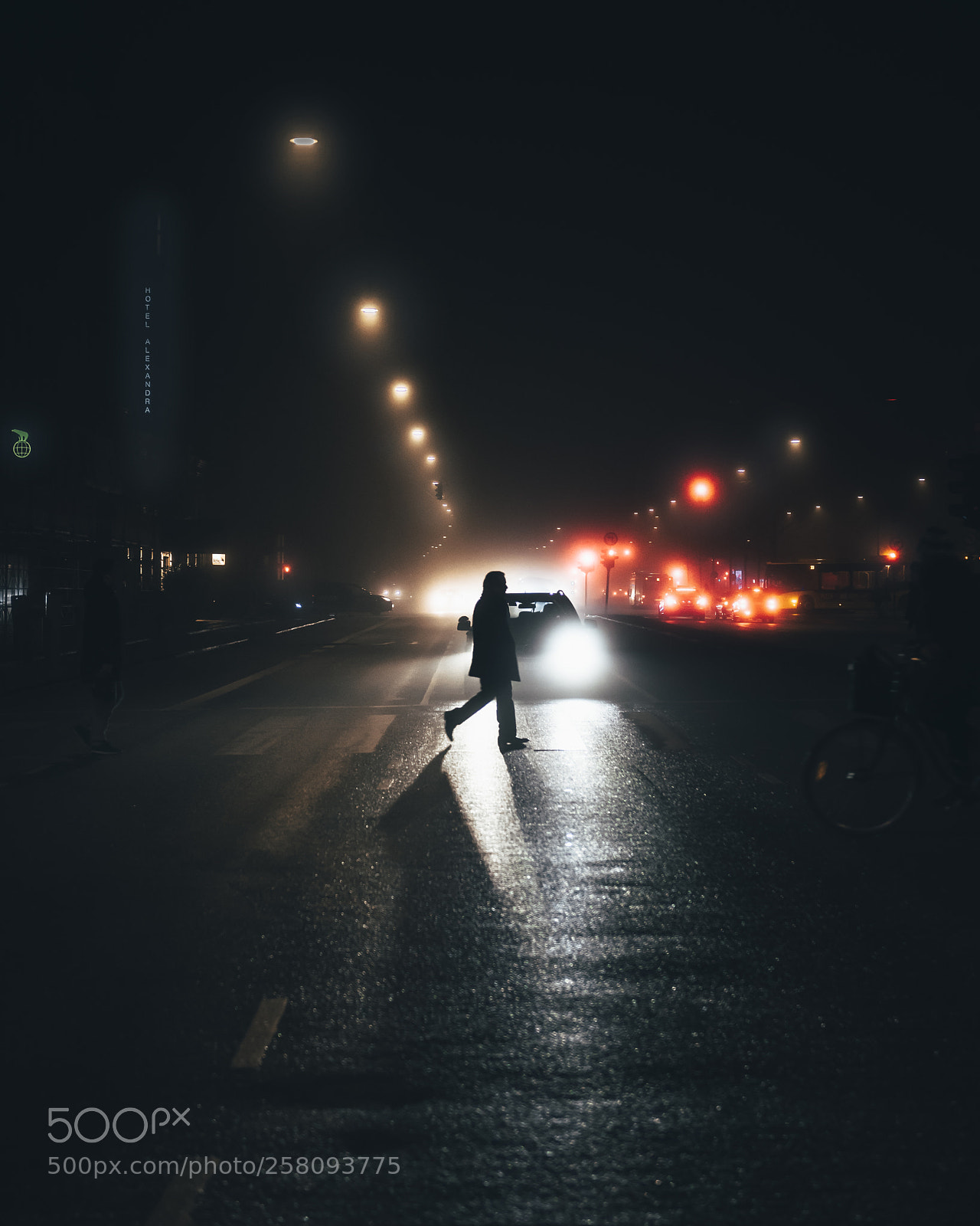 Nikon D810 sample photo. Foggy nights photography