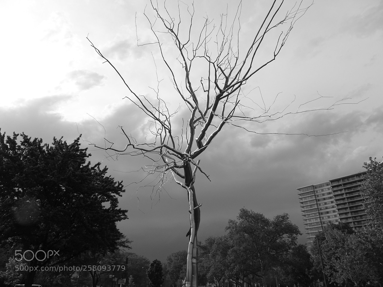 Sony Cyber-shot DSC-HX90V sample photo. Inverted lightning  photography