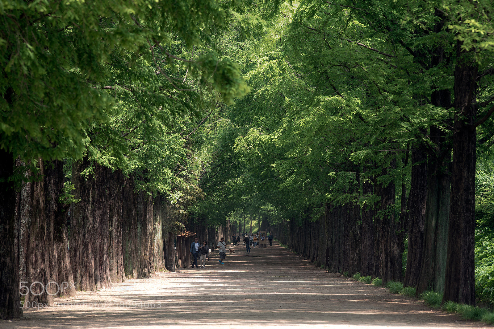 Nikon D750 sample photo. Untitled photography