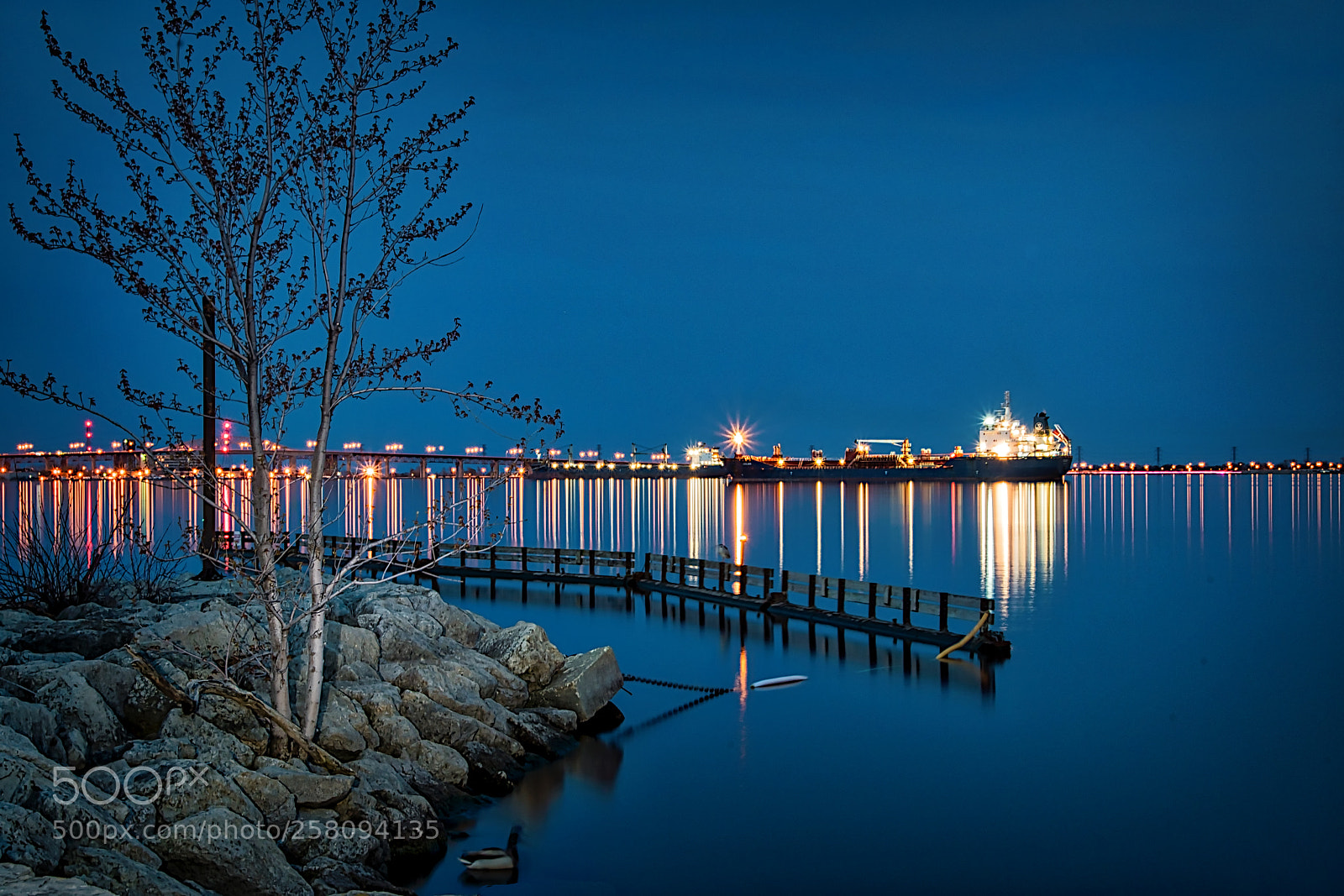 Nikon D500 sample photo. Hamilton harbour at sunset photography