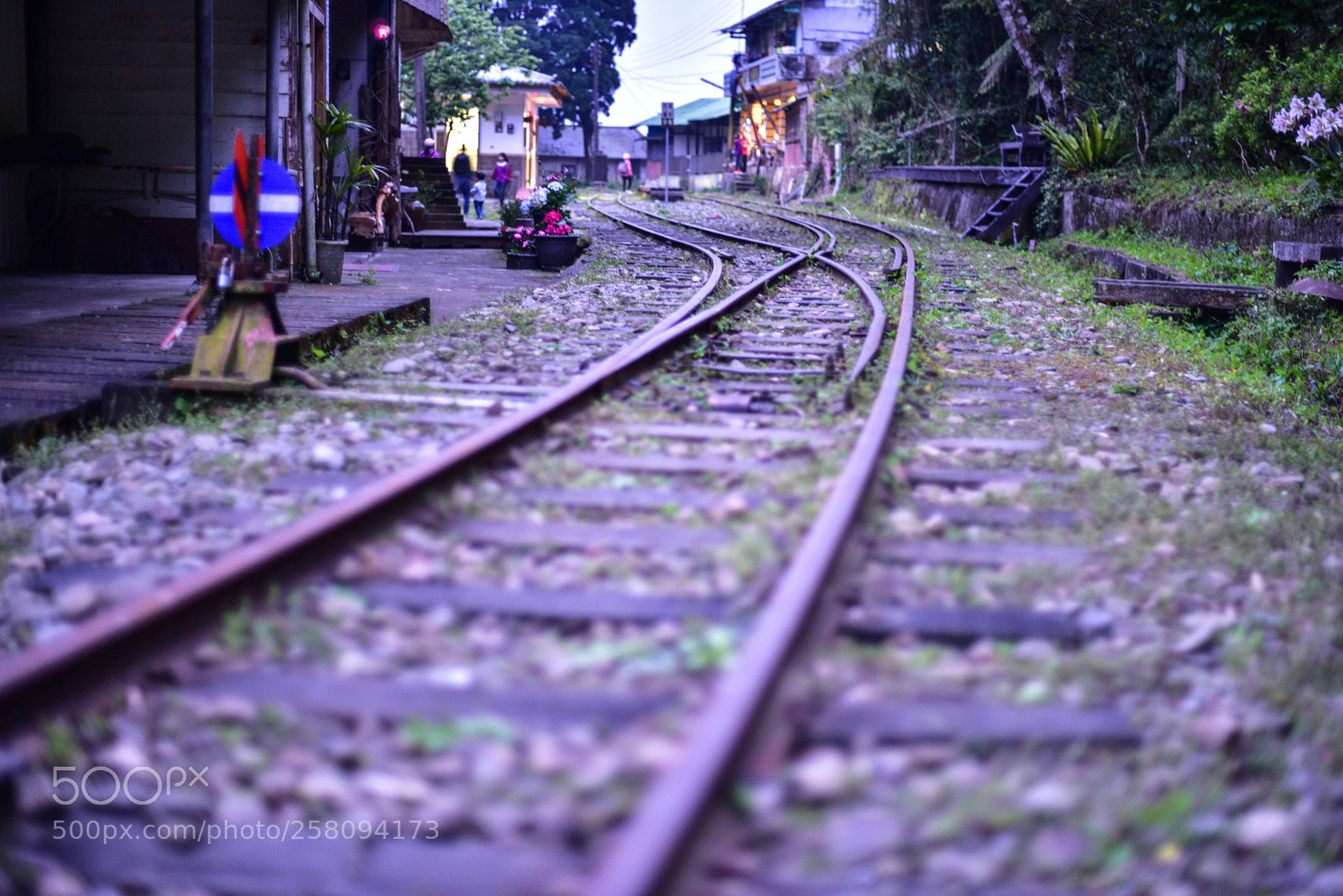 Nikon D810 sample photo. 水社寮車站 alishan forest railway photography