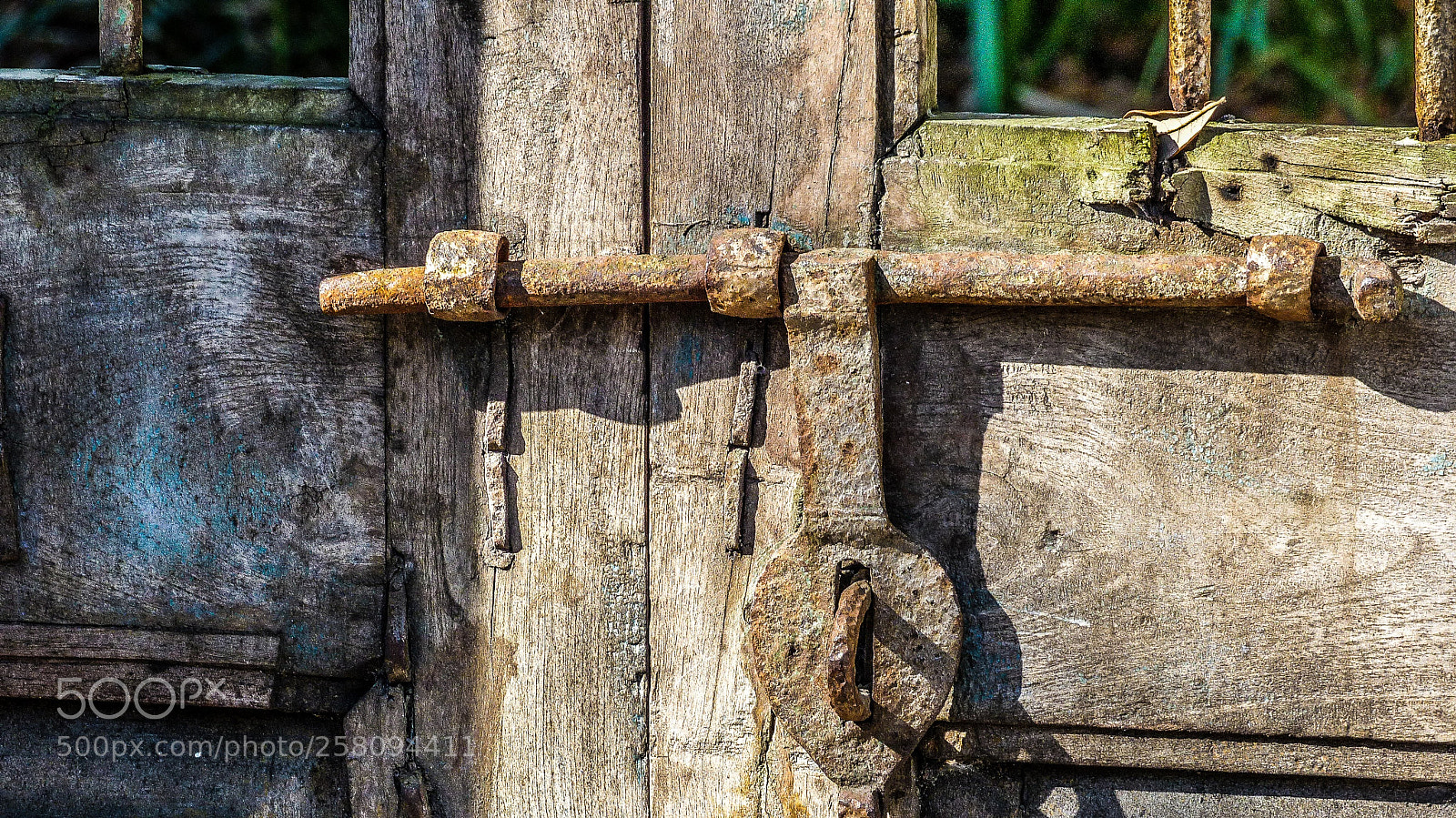 Panasonic Lumix DMC-FZ200 sample photo. Gate photography