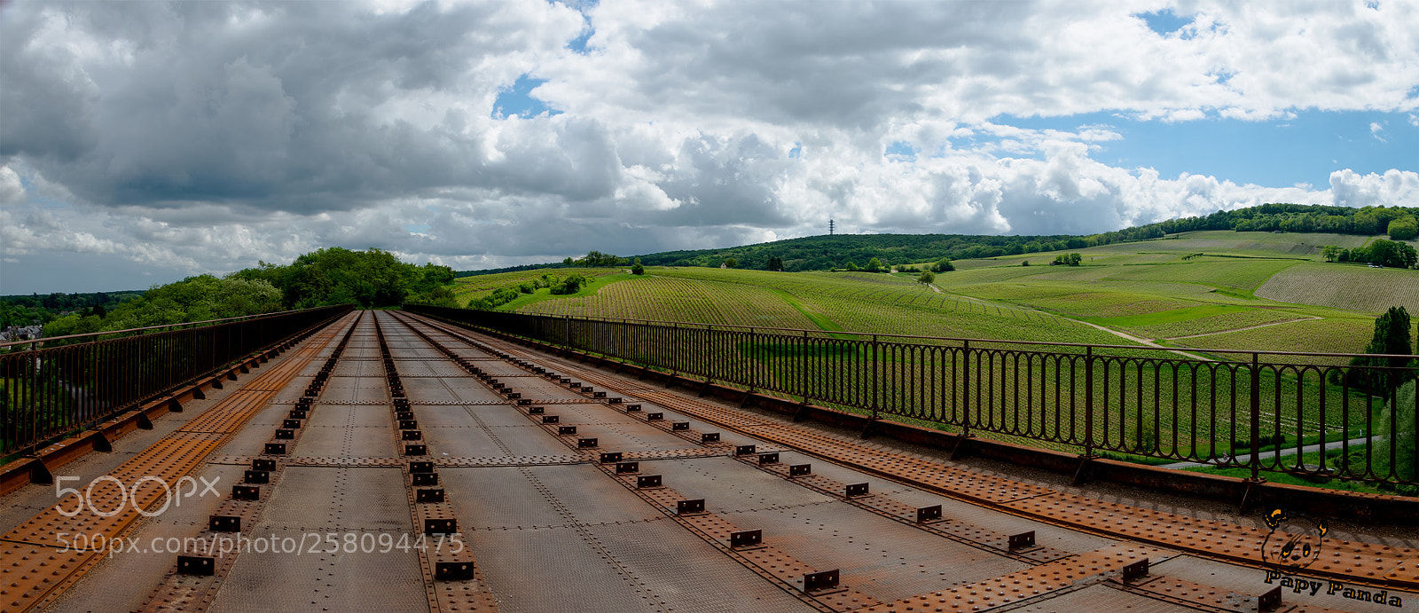 Nikon D5300 sample photo. Panorama photography
