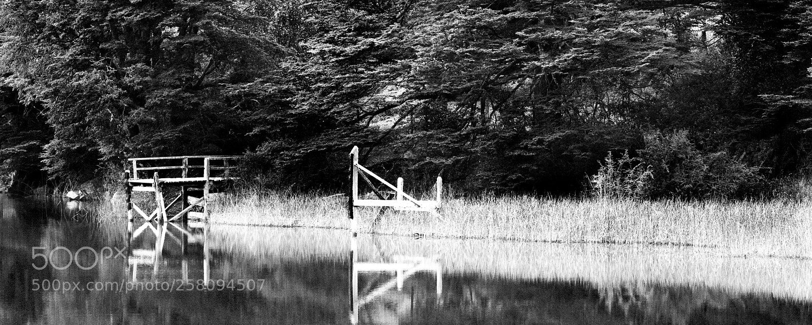 Nikon D7100 sample photo. A photography