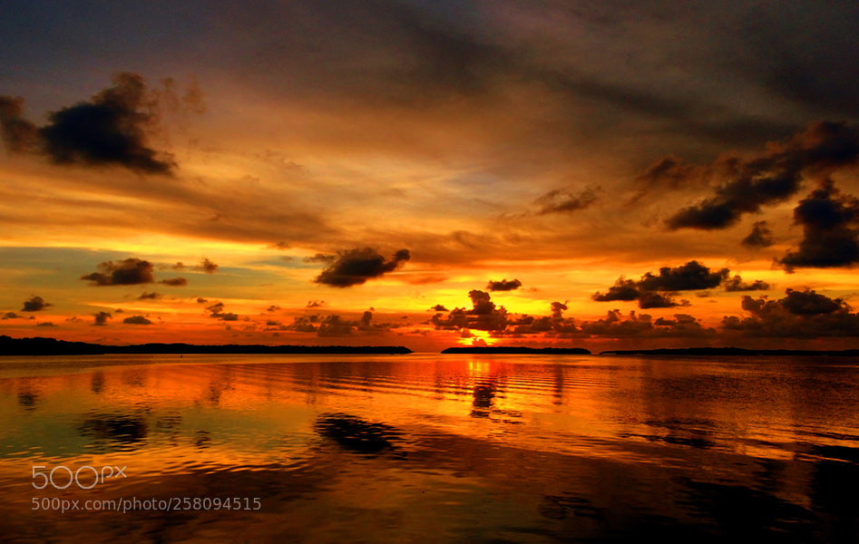 Canon EOS 50D sample photo. Islamorada fl photography