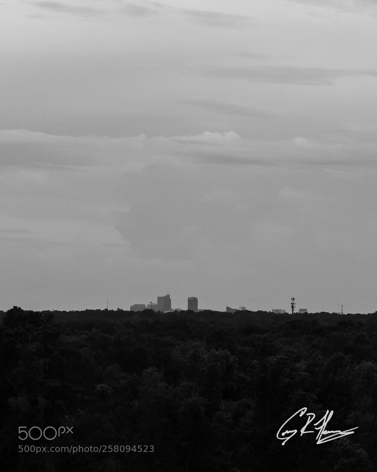 Canon EOS 7D sample photo. Untitled photography