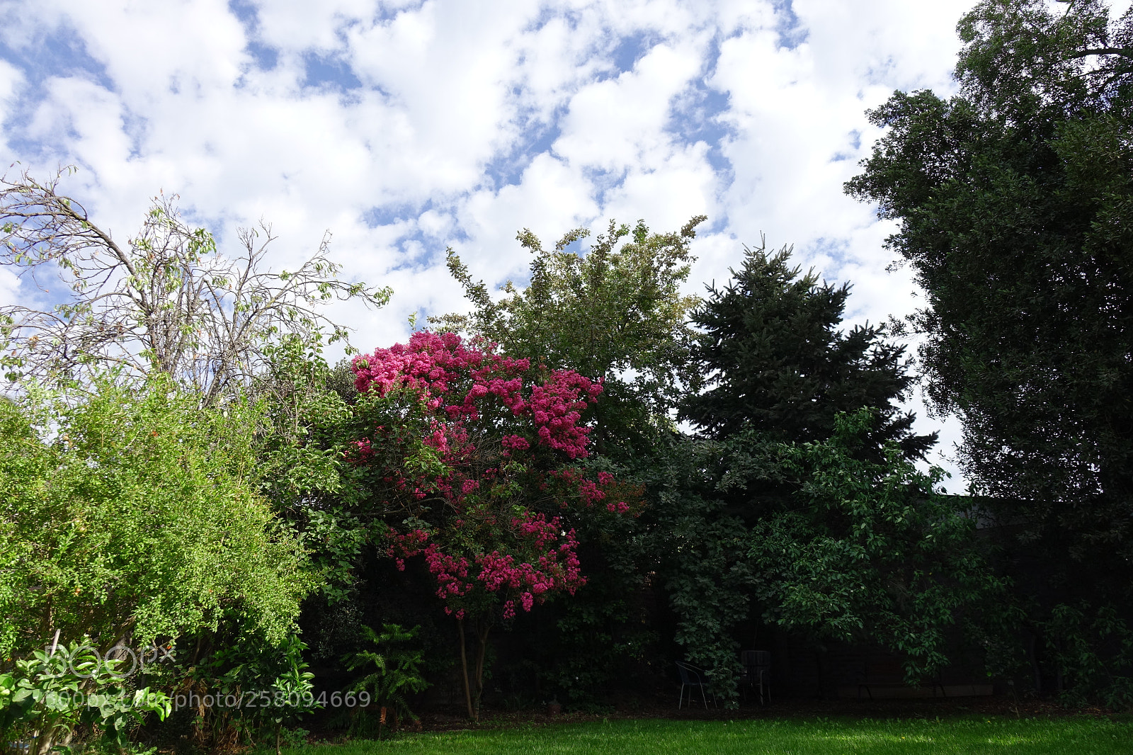 Sony Cyber-shot DSC-RX10 sample photo. Recuerdo en colores photography