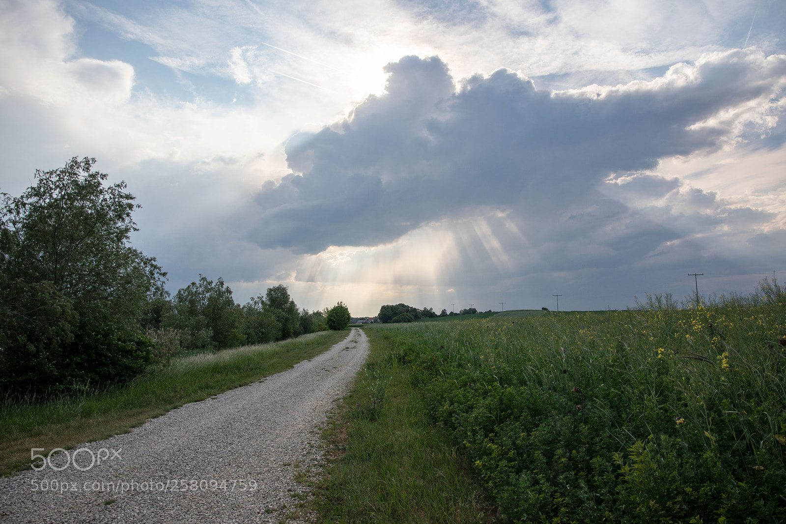 Canon EOS 5D Mark IV sample photo. Way to god? photography