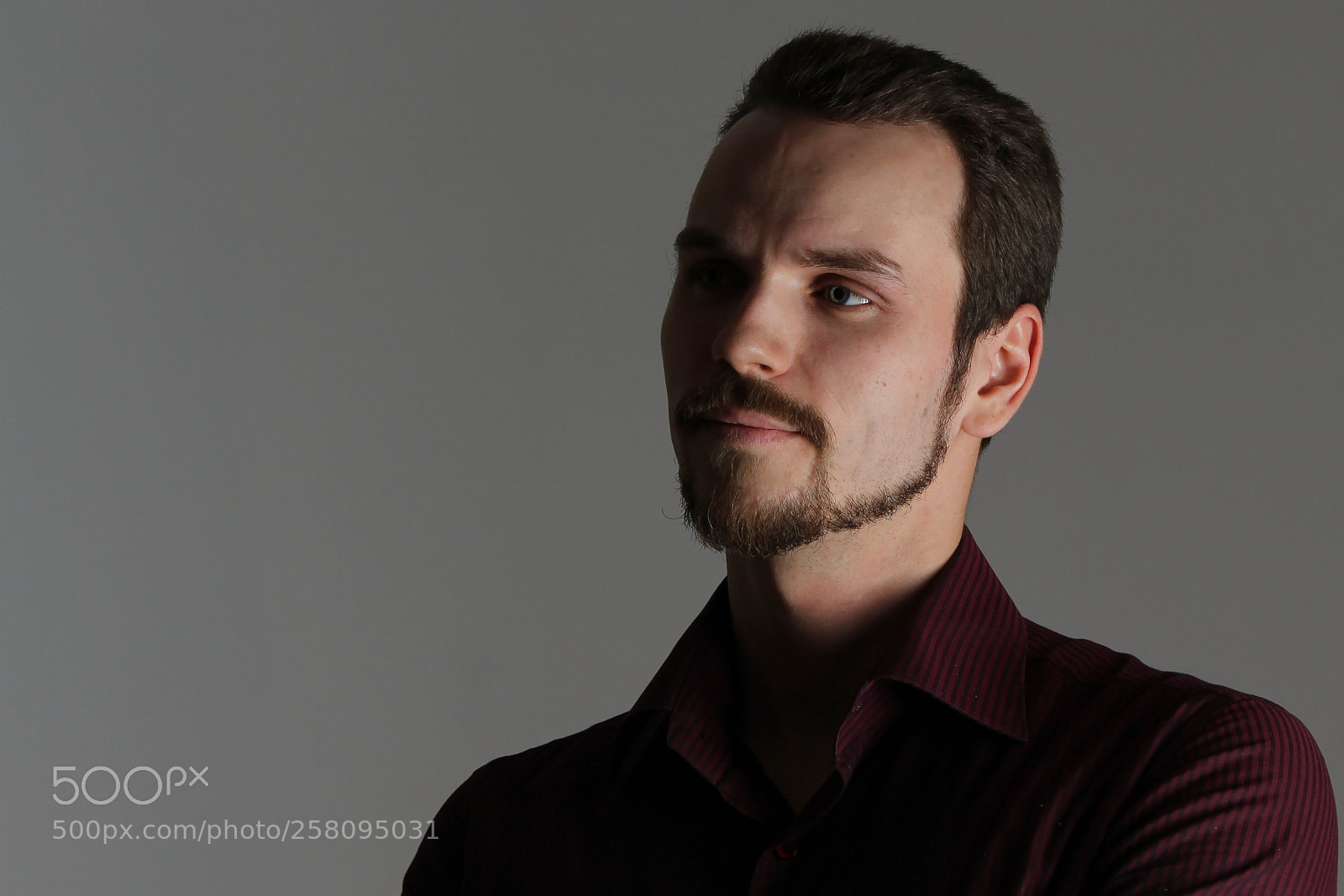 Canon EOS 600D (Rebel EOS T3i / EOS Kiss X5) sample photo. Face of handsome man photography