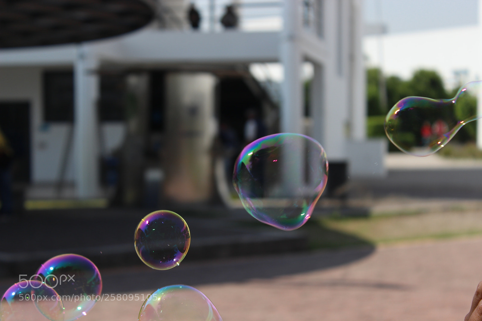 Canon EOS 600D (Rebel EOS T3i / EOS Kiss X5) sample photo. Img photography