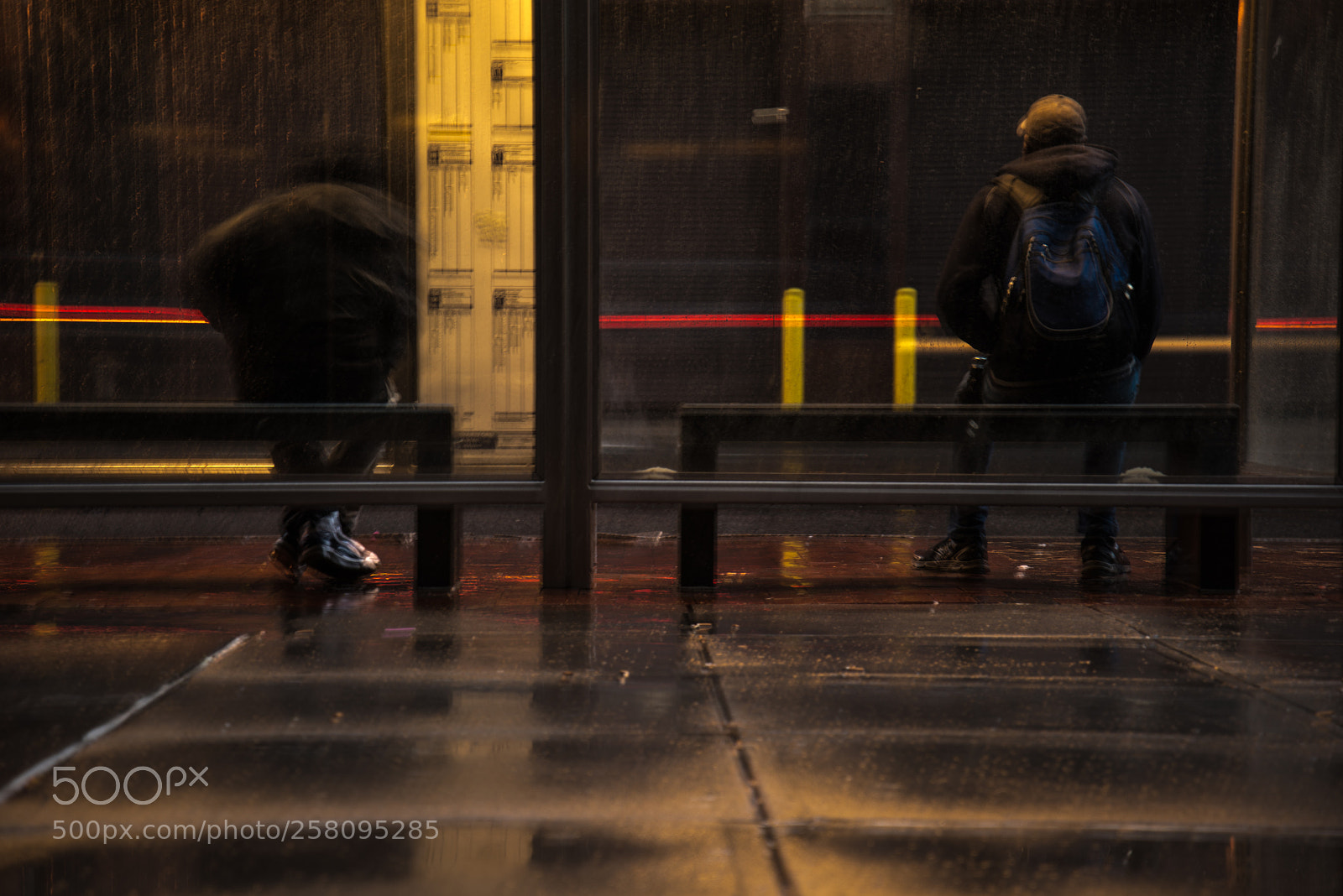 Nikon D800 sample photo. Rainy night photography