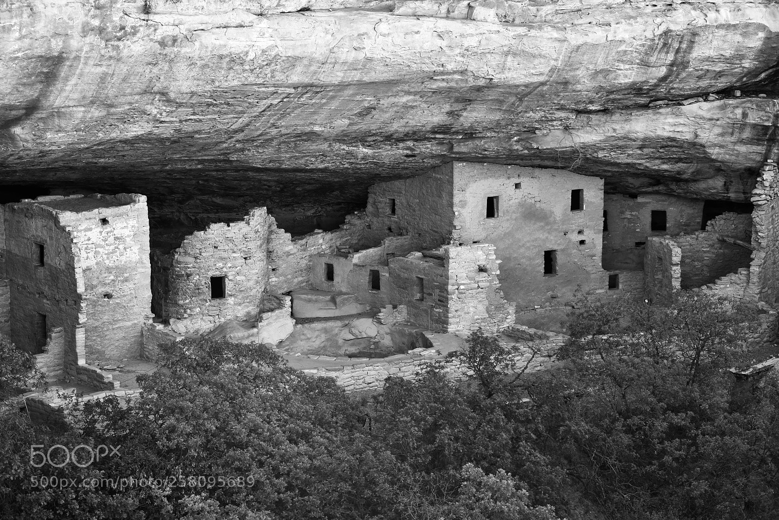 Nikon D810 sample photo. Spruce tree house ruins photography