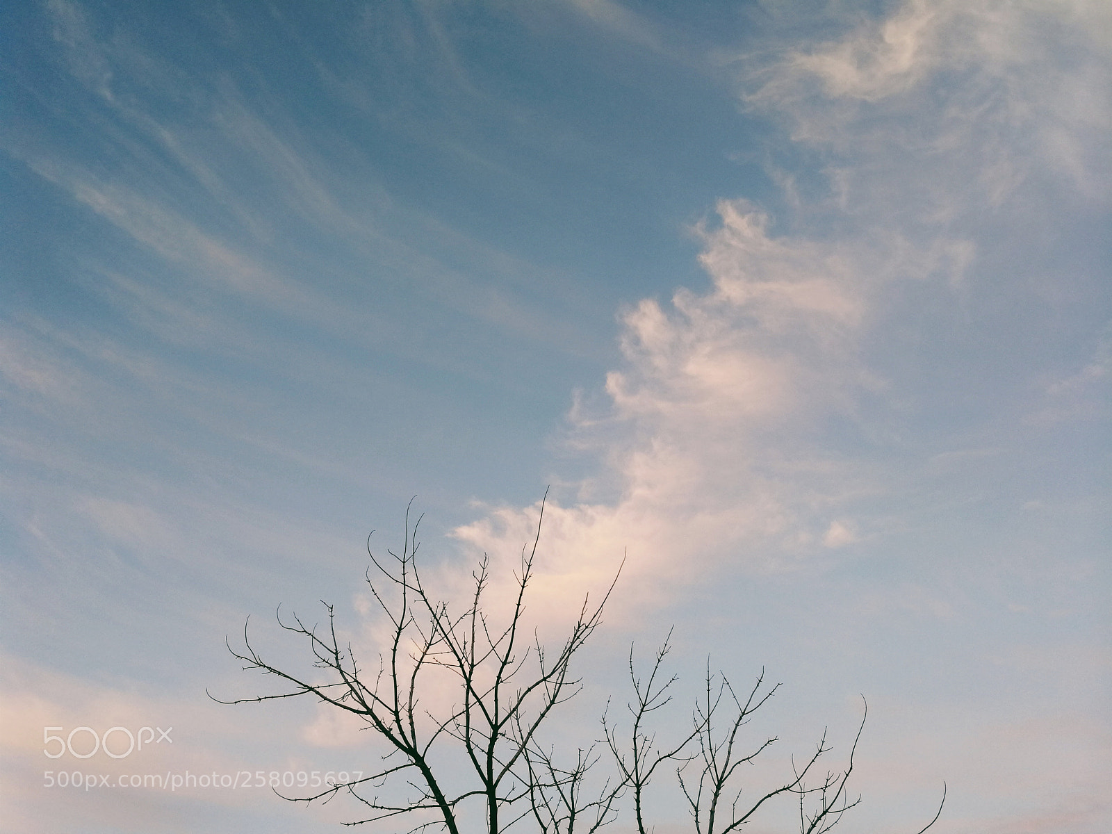 HUAWEI P10 sample photo. Cirrus clouds photography