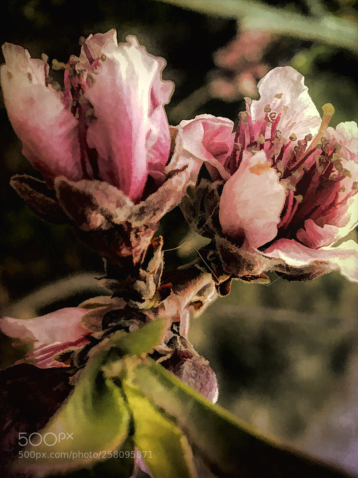 Apple iPhone 6 Plus sample photo. Untitled photography