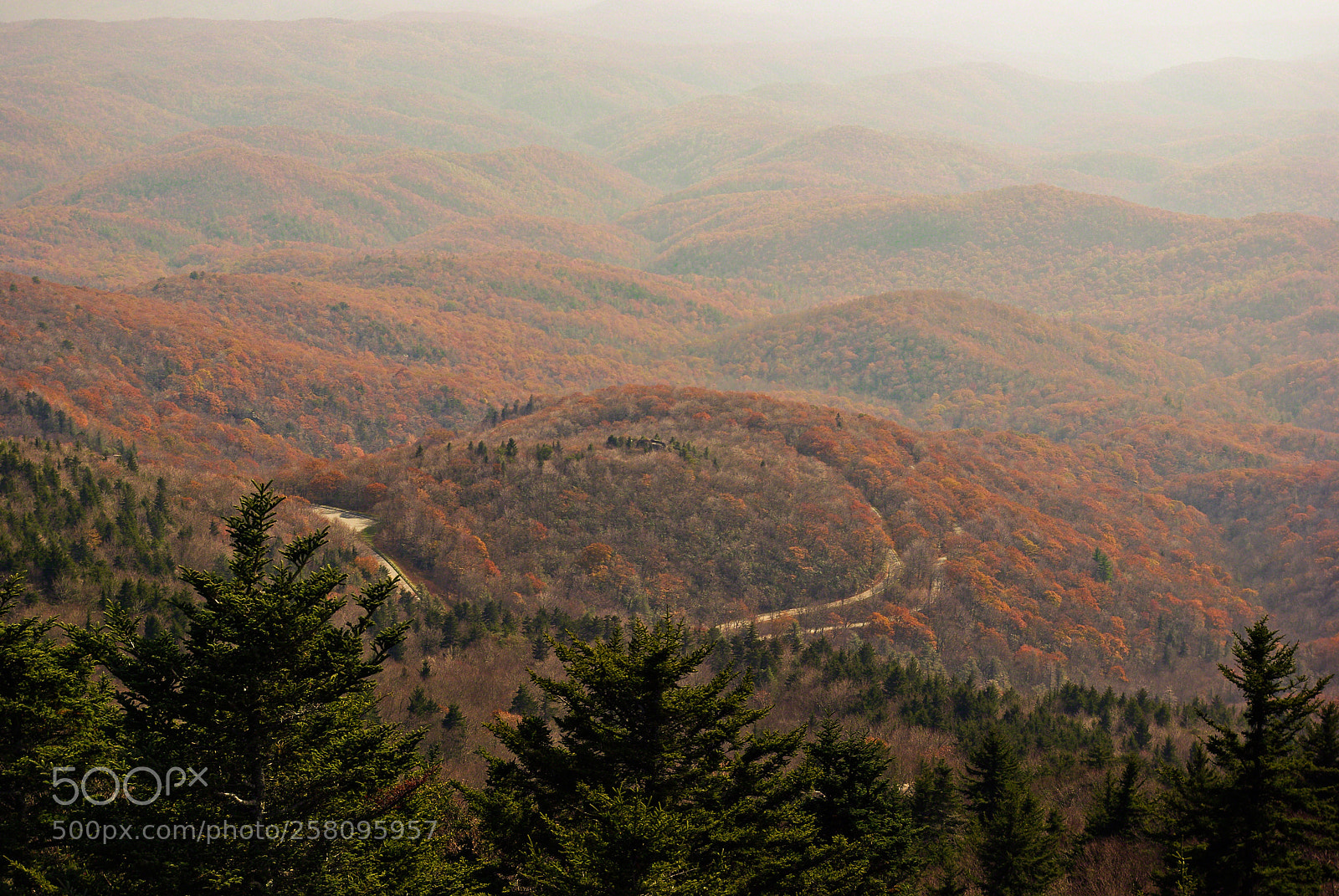 Pentax K10D sample photo. Autumn appalachia photography