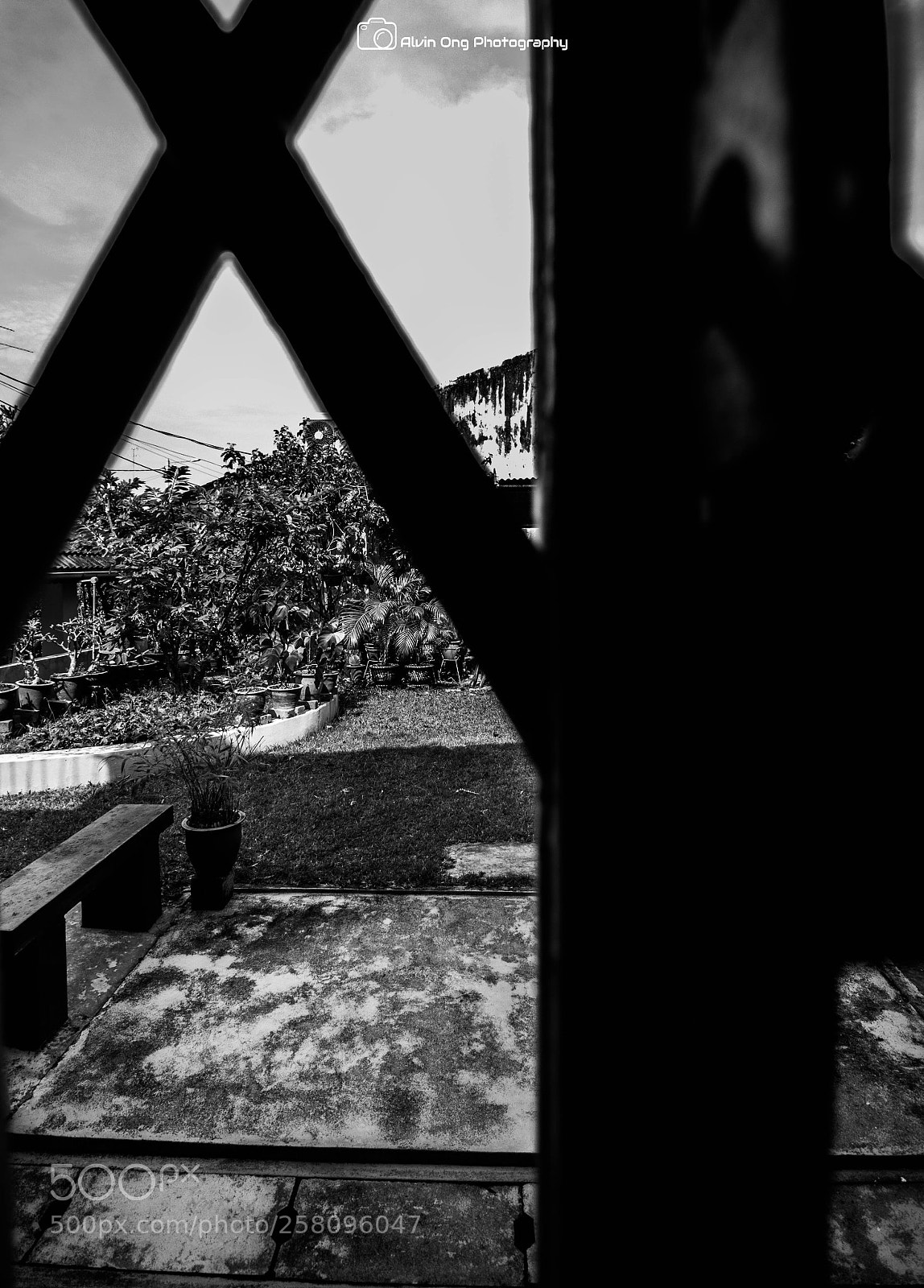 Canon EOS 70D sample photo. 20-1.jpg photography