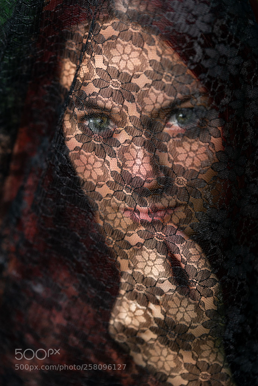 Nikon D610 sample photo. Untitled photography