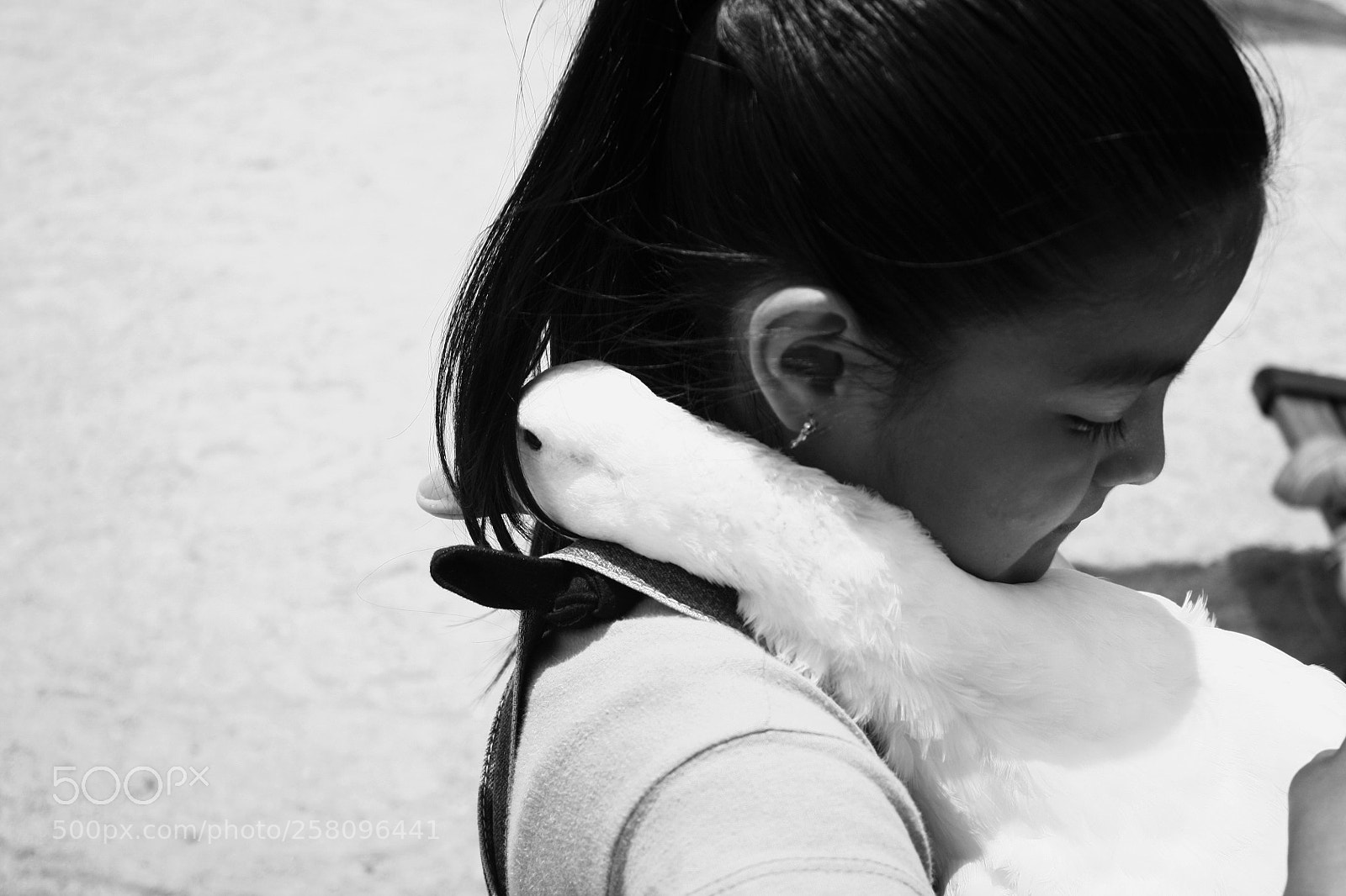 Canon EOS 450D (EOS Rebel XSi / EOS Kiss X2) sample photo. Animal love photography