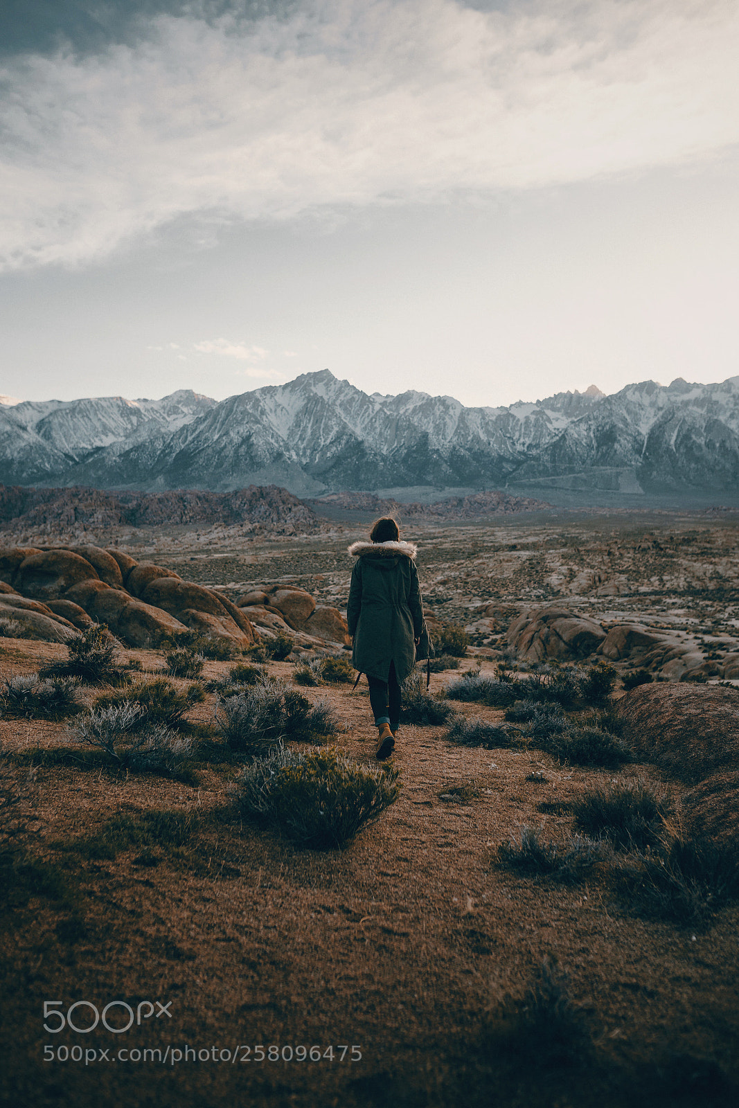 Canon EOS 6D sample photo. Sierra desert stroll photography
