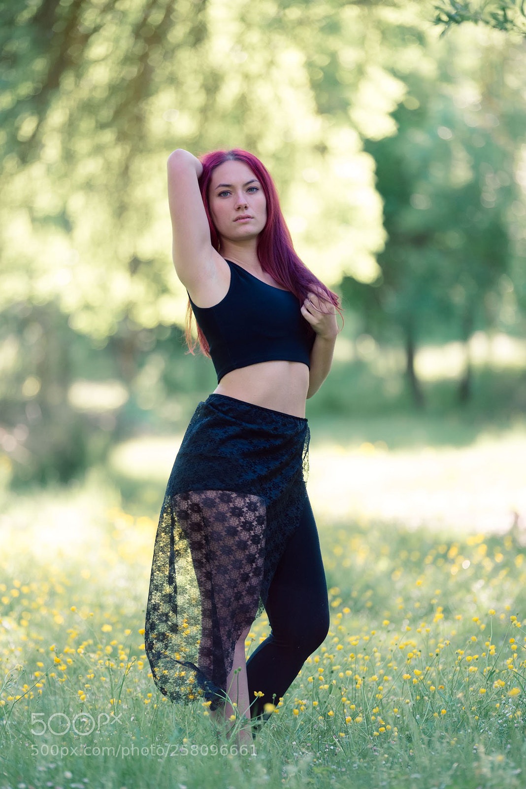 Nikon D610 sample photo. Untitled photography