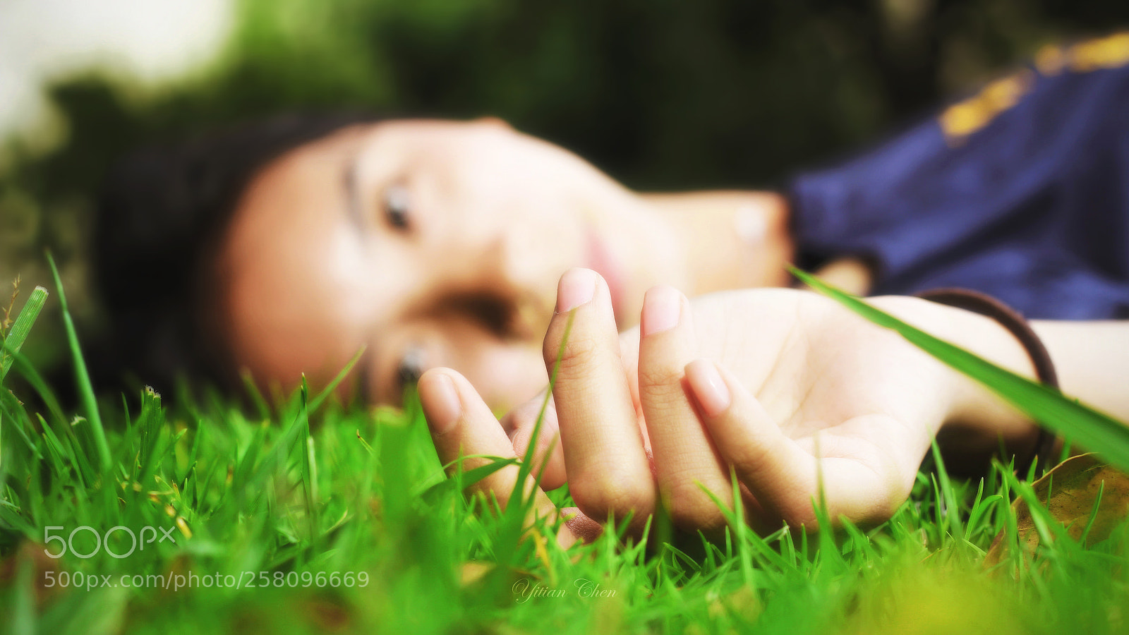 Canon EOS 60D sample photo. Lying on a meadow photography