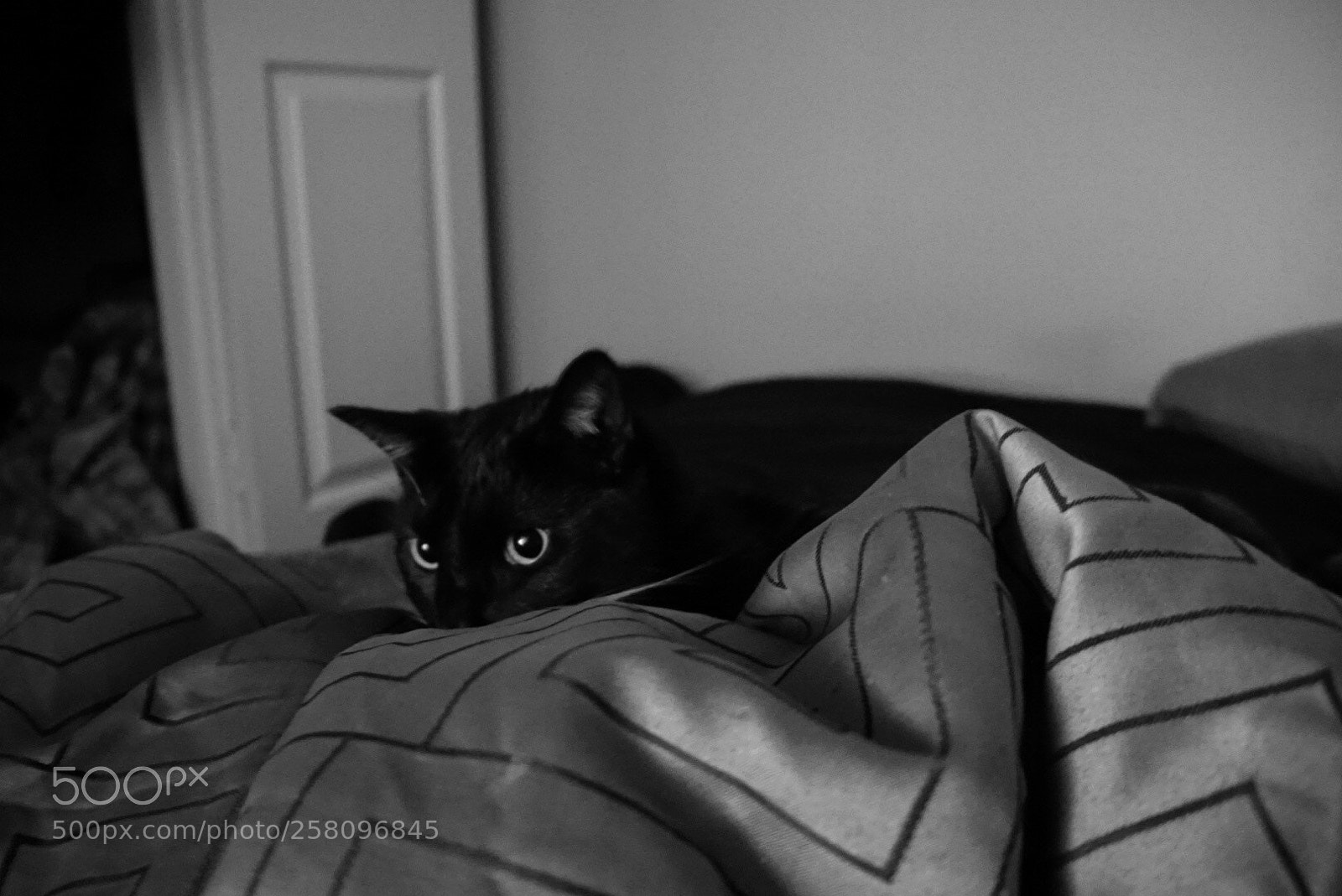 Sony a7 sample photo. Untitled photography