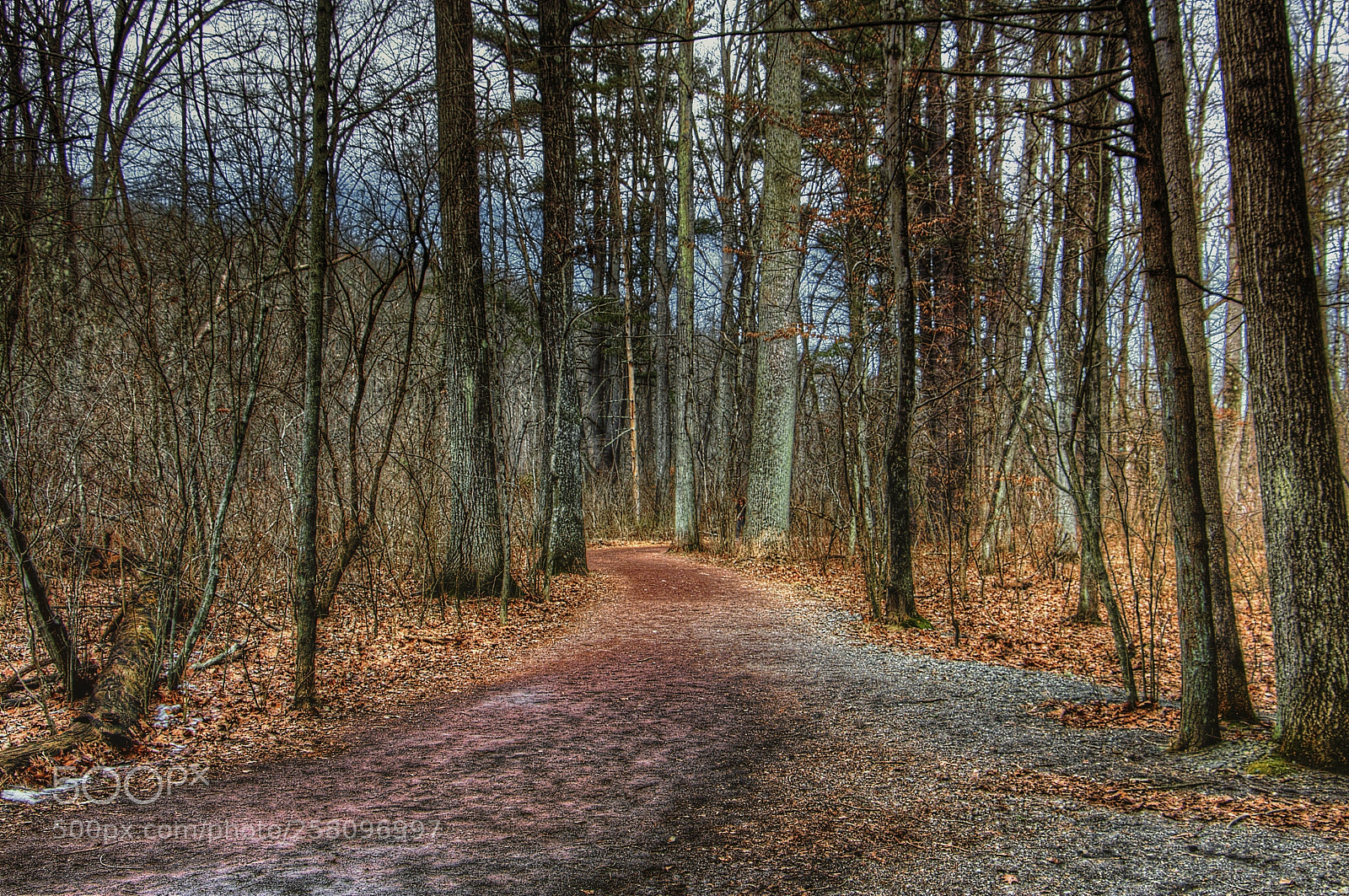 Canon EOS 700D (EOS Rebel T5i / EOS Kiss X7i) sample photo. The path taken photography