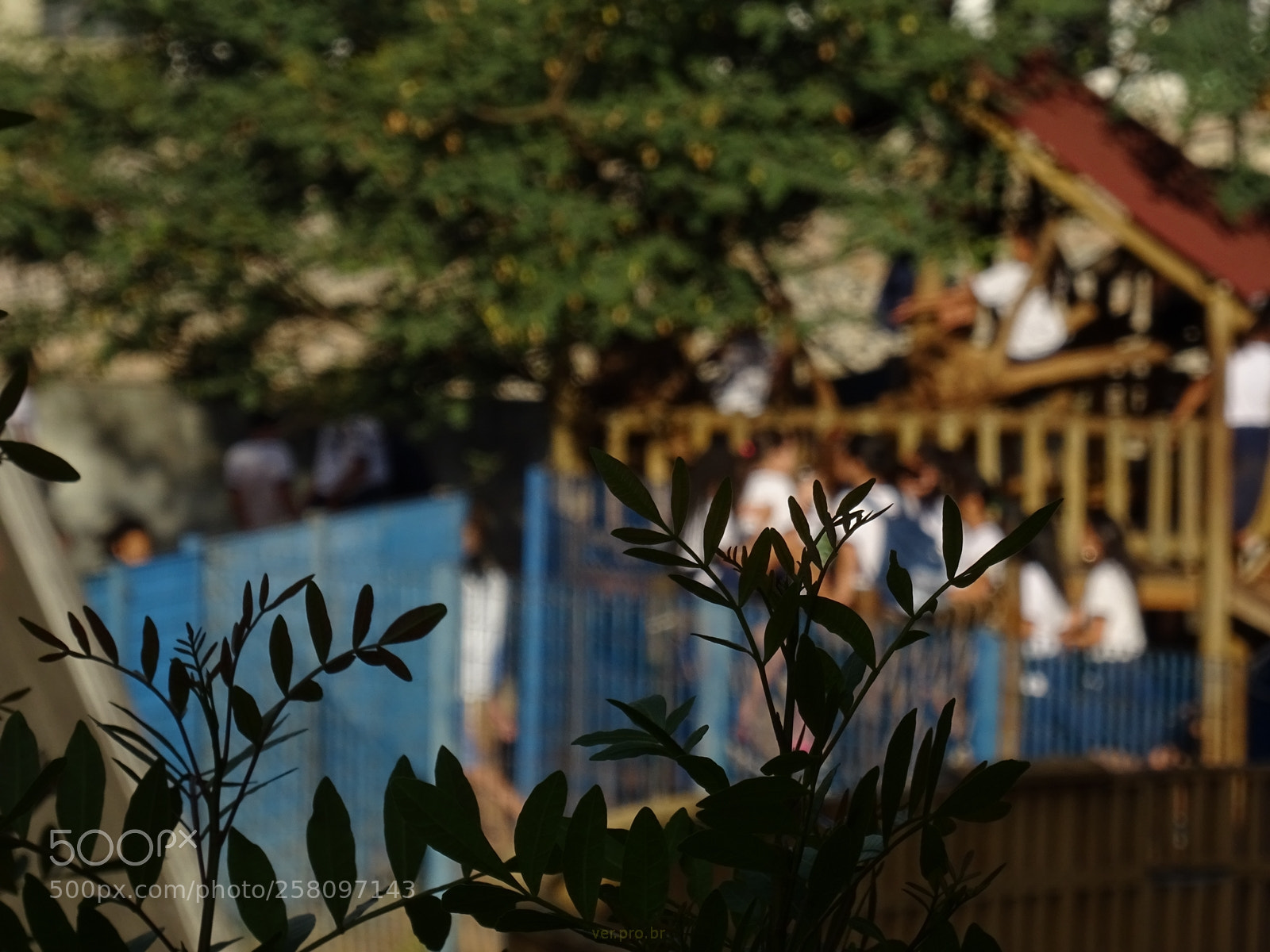 Sony DSC-HX60V sample photo. Hora do recreio photography
