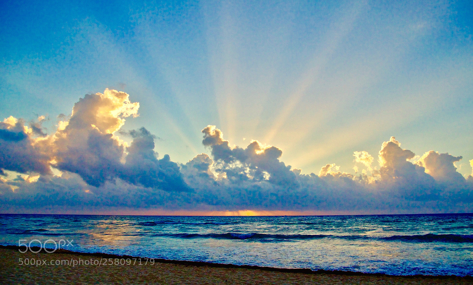 Nikon D5100 sample photo. Morning rays  photography