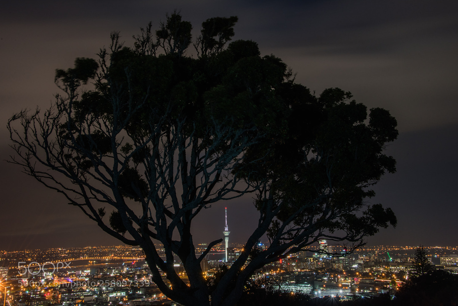 Nikon D810 sample photo. Silhouette and the city photography
