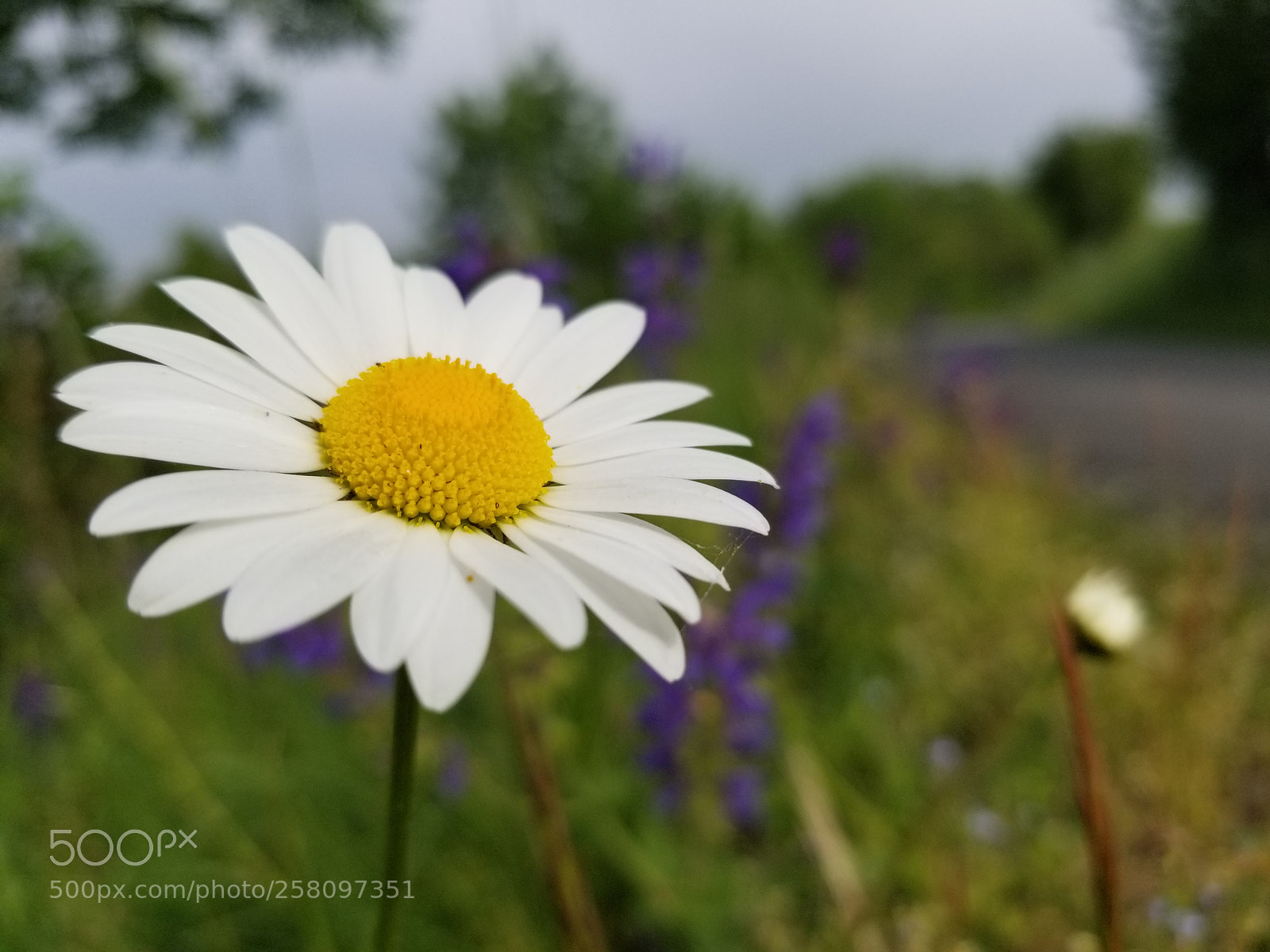 Samsung Galaxy S8 sample photo. On the road photography