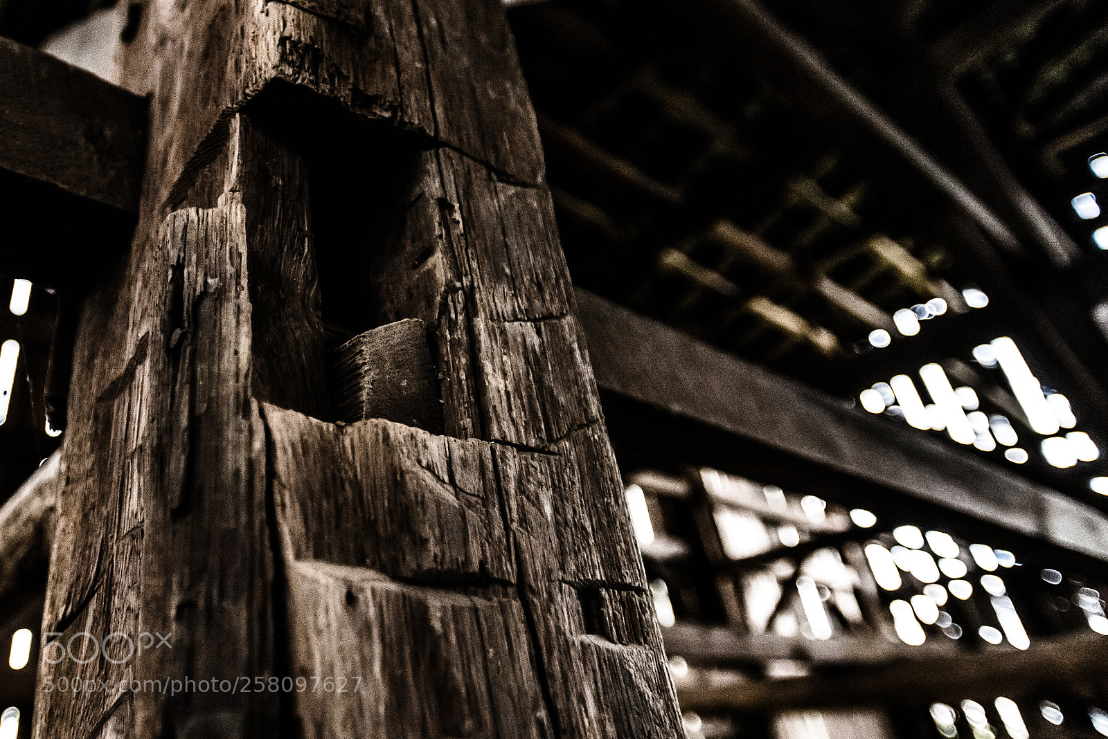 Nikon D750 sample photo. Beams photography
