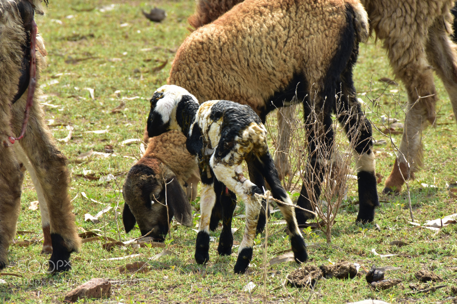 Nikon D3400 sample photo. Mother and baby photography