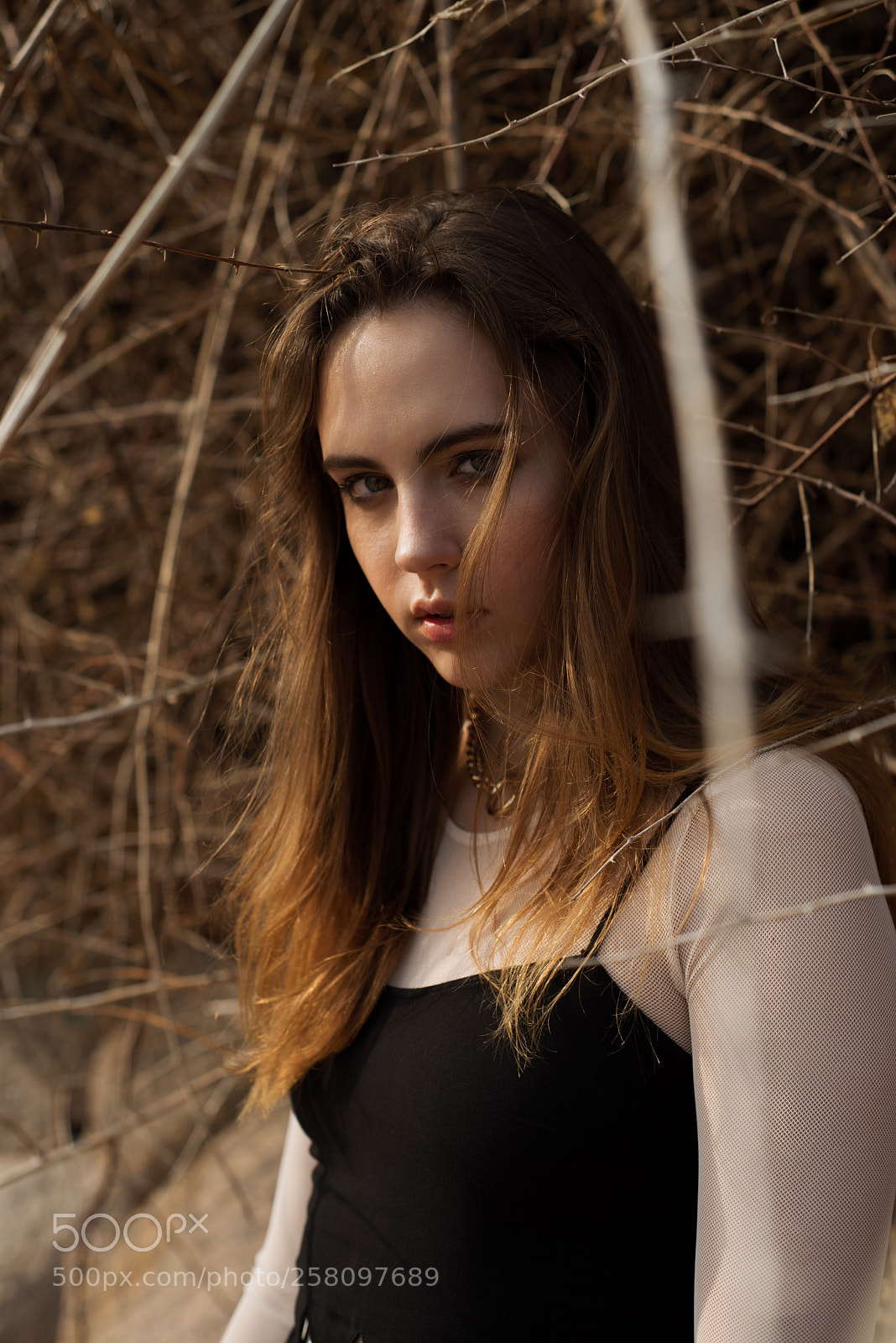 Nikon D750 sample photo. Alex photography