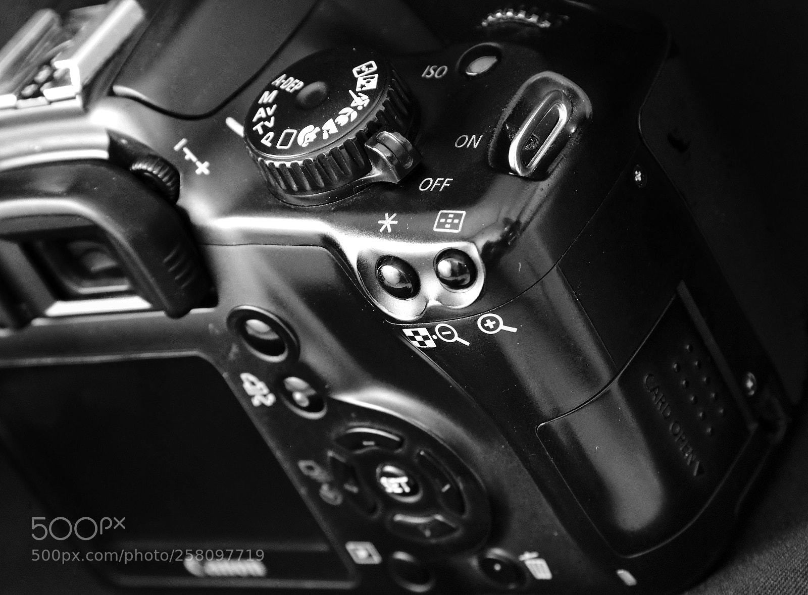 Canon EOS 760D (EOS Rebel T6s / EOS 8000D) sample photo. Curvy photography