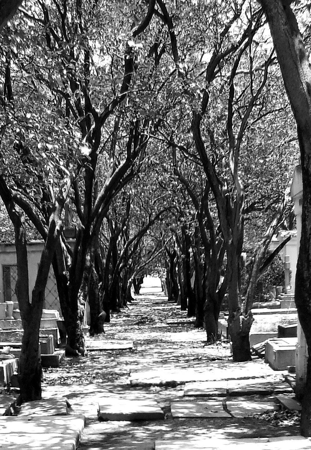 FujiFilm FinePix HS20 EXR (FinePix HS22 EXR) sample photo. Cementerio photography