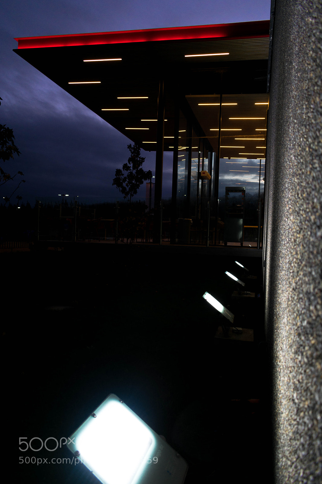 Nikon D3400 sample photo. Purple light photography
