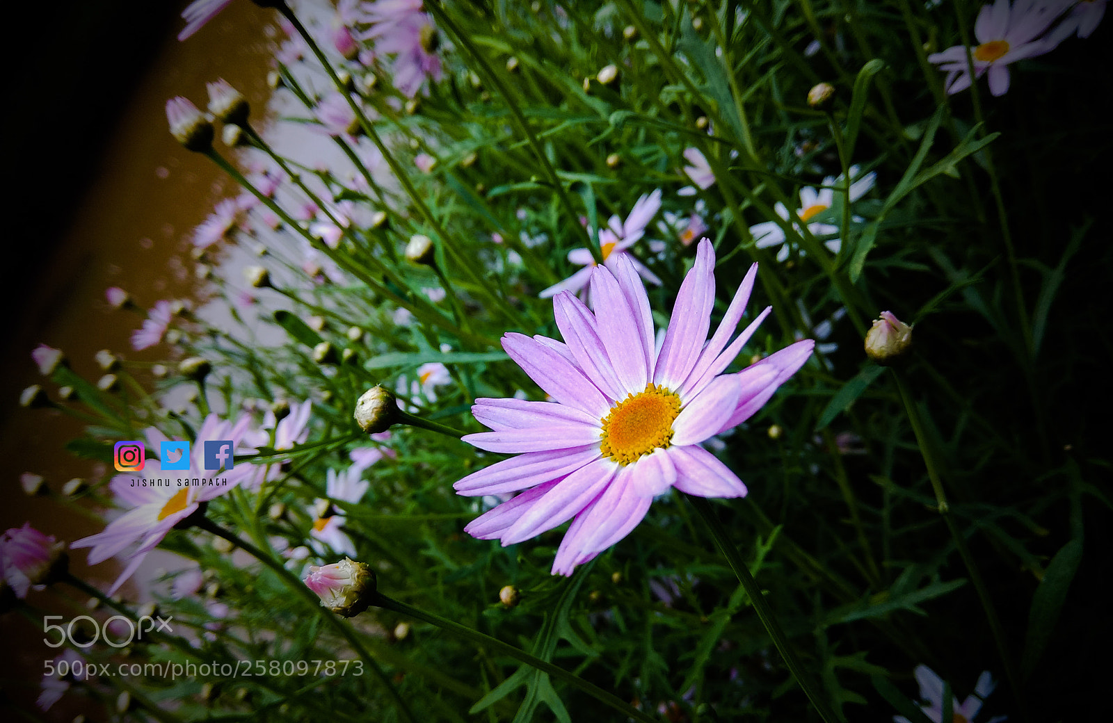 Xiaomi Redmi Note 4 sample photo. Untitled photography