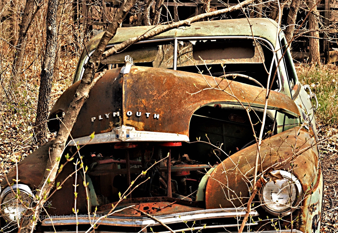 Canon EOS 1000D (EOS Digital Rebel XS / EOS Kiss F) sample photo. Junk plymouth photography