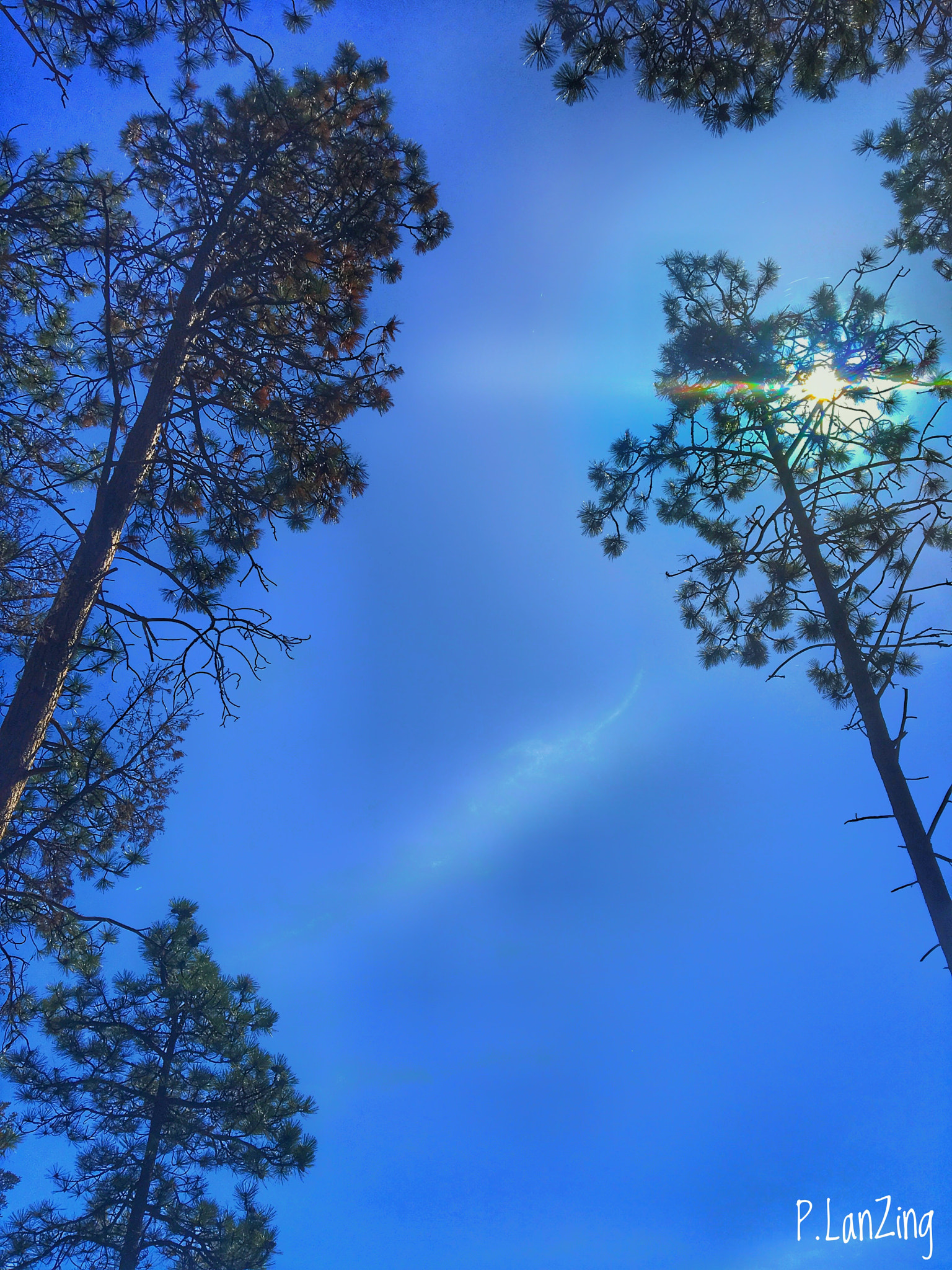 Apple iPad Pro sample photo. Montana daydream photography