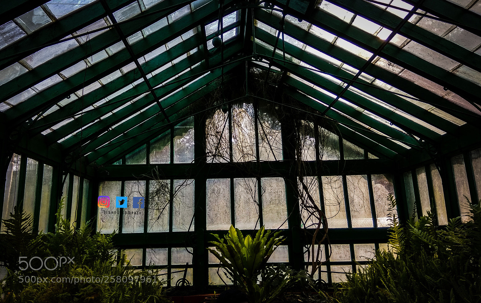 Xiaomi Redmi Note 4 sample photo. Untitled photography