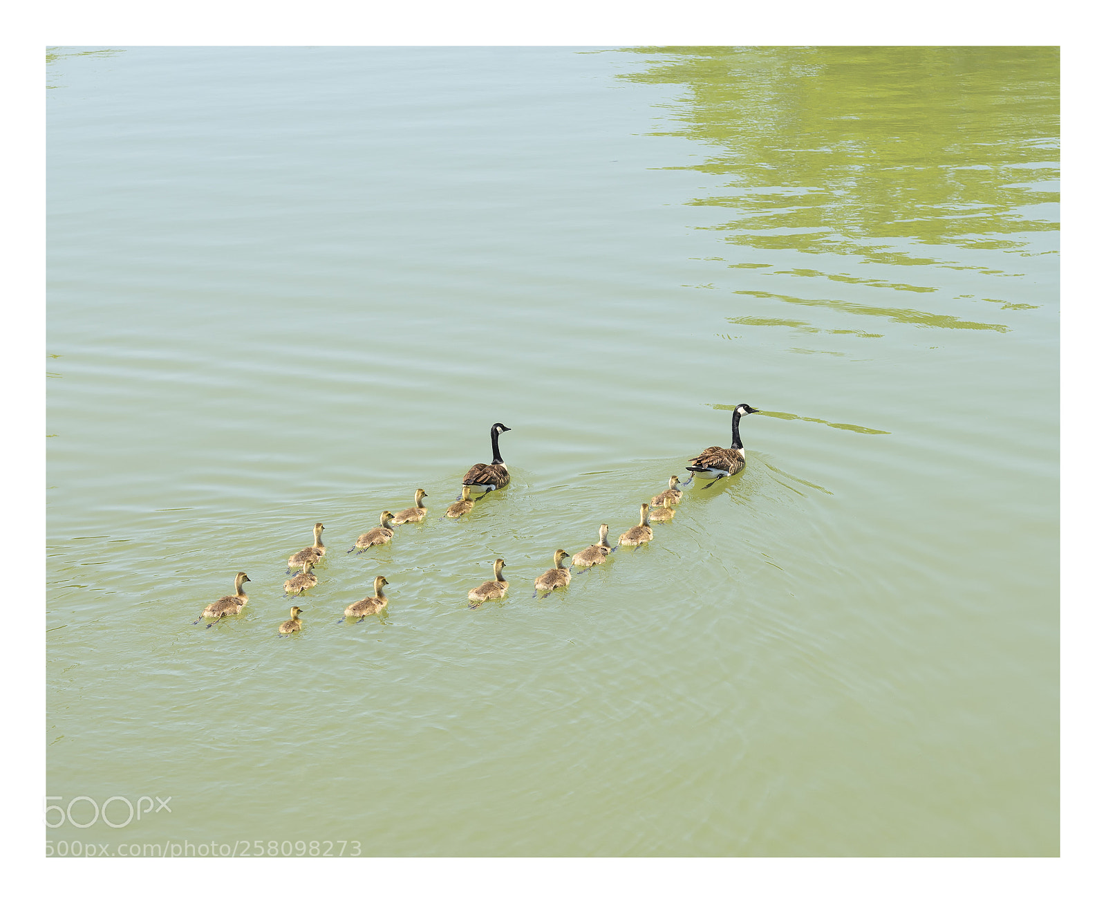 Nikon D7000 sample photo. Follow me  · 快，跟上 photography