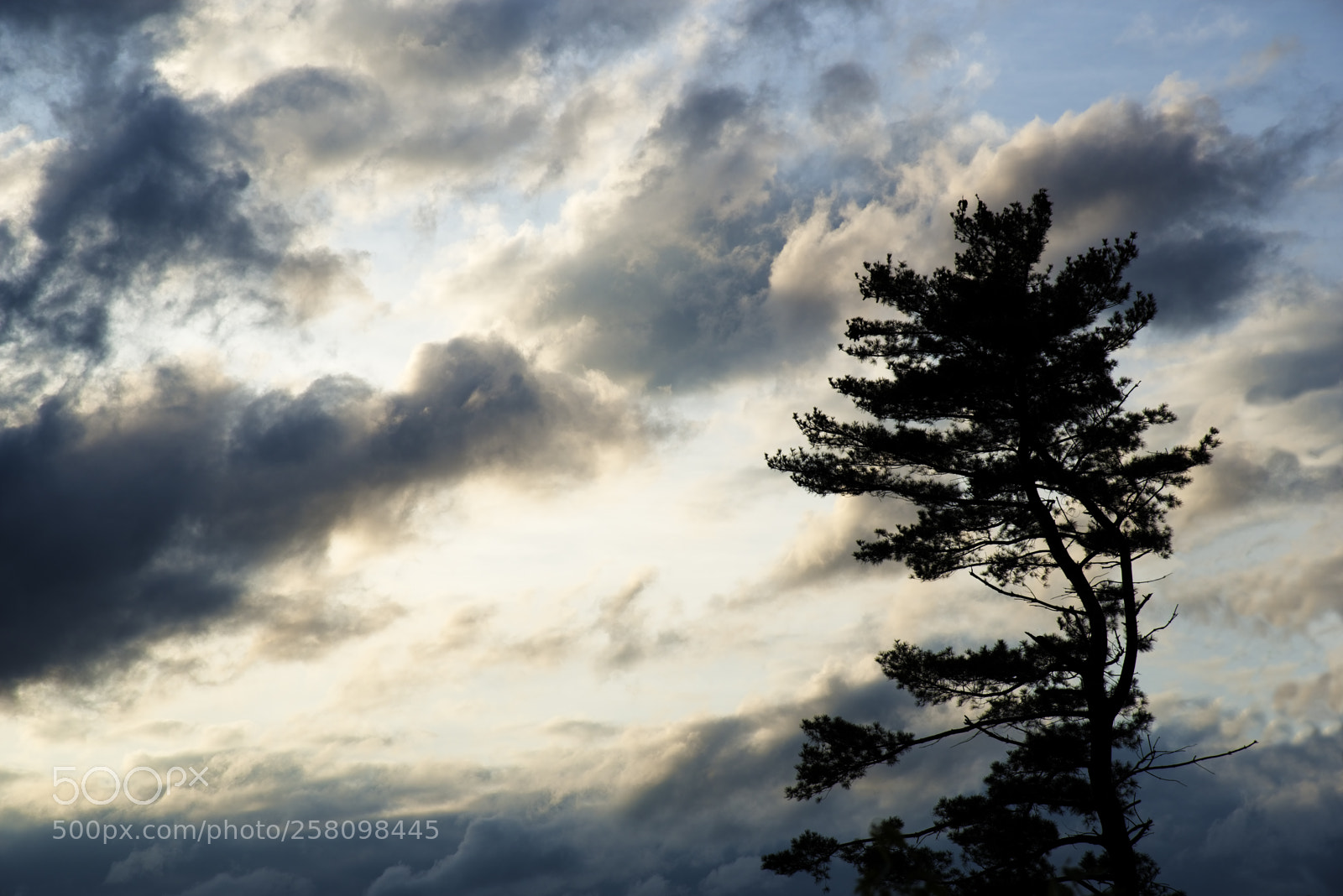 Nikon D750 sample photo. Await the storm photography