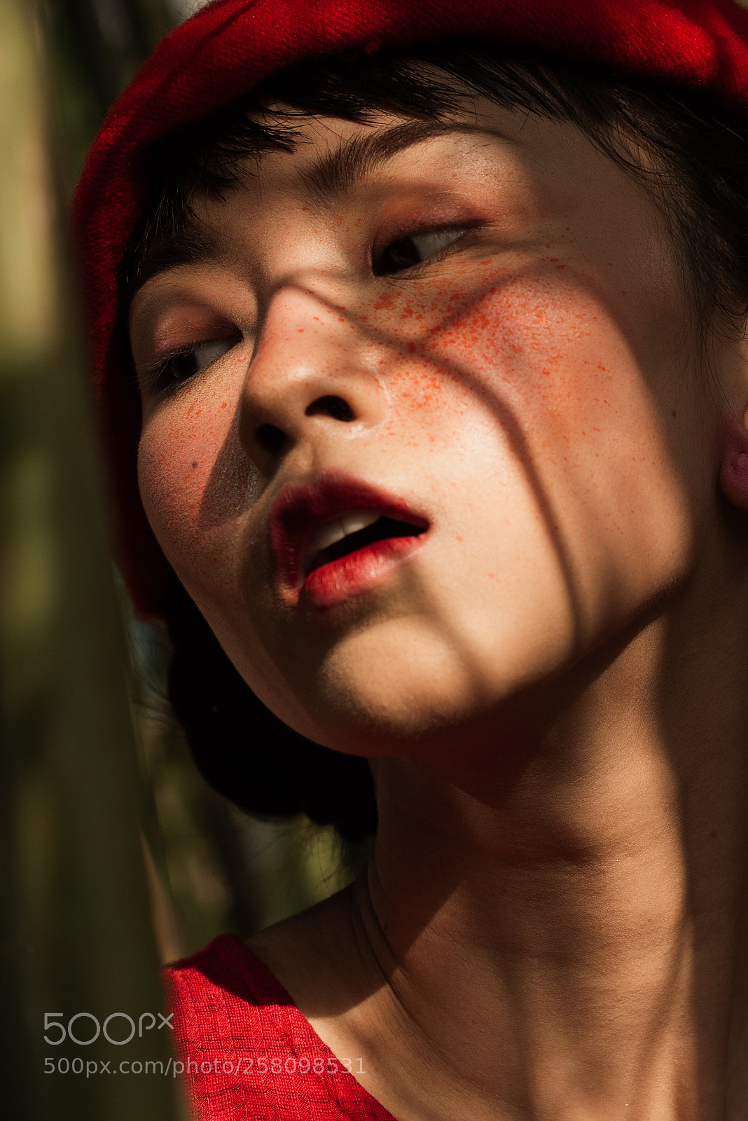 Nikon D750 sample photo. Tiara in the bushes photography